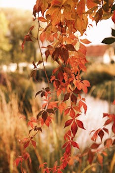 Vibrant autumn leaves hanging by a serene lake, capturing the essence of fall.