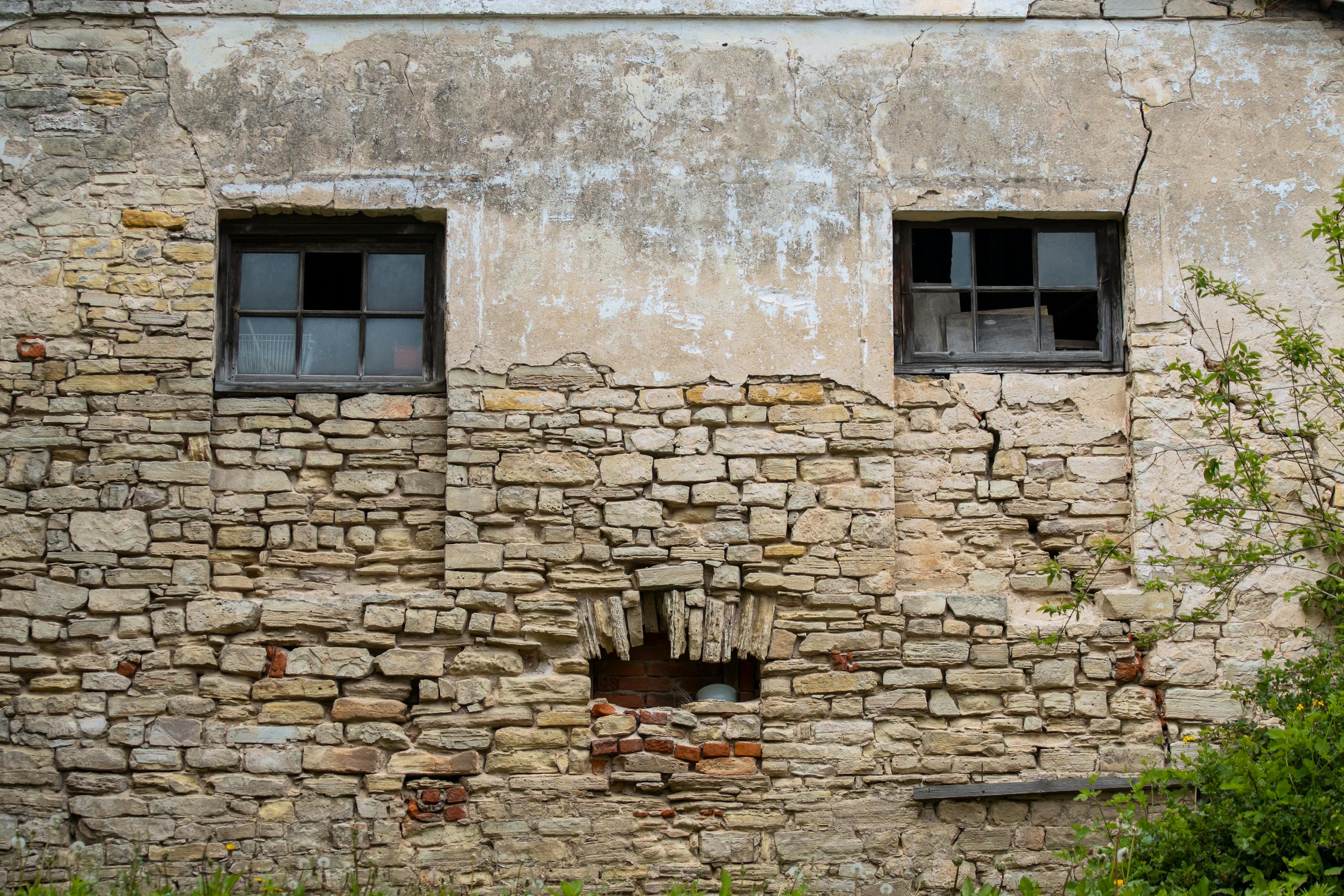 Pest and structural inspection