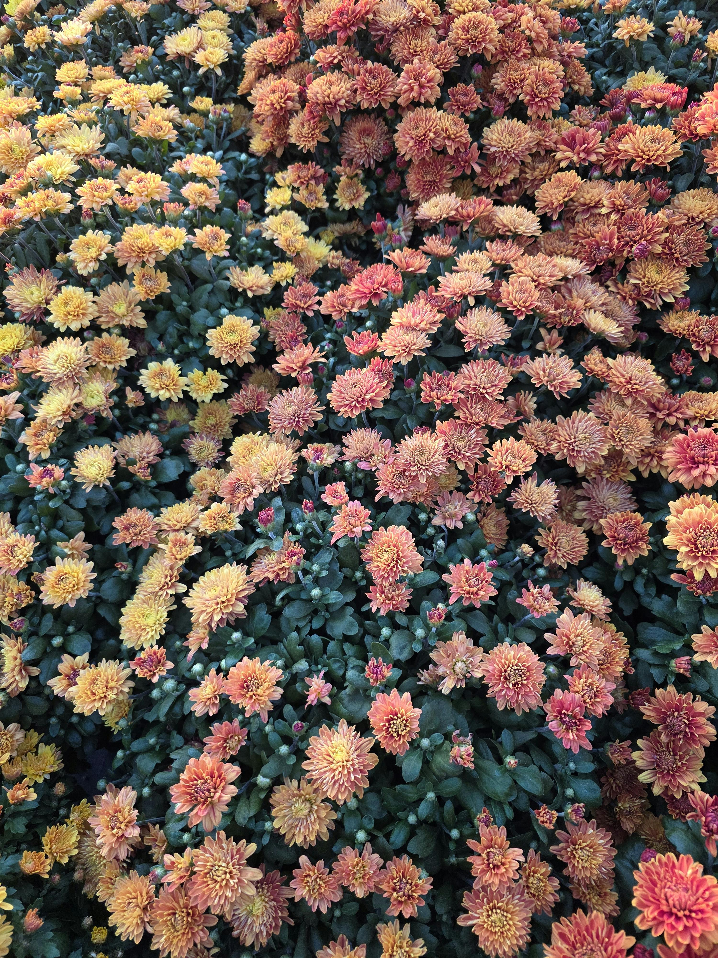 청주 음주운전 전문 변호사