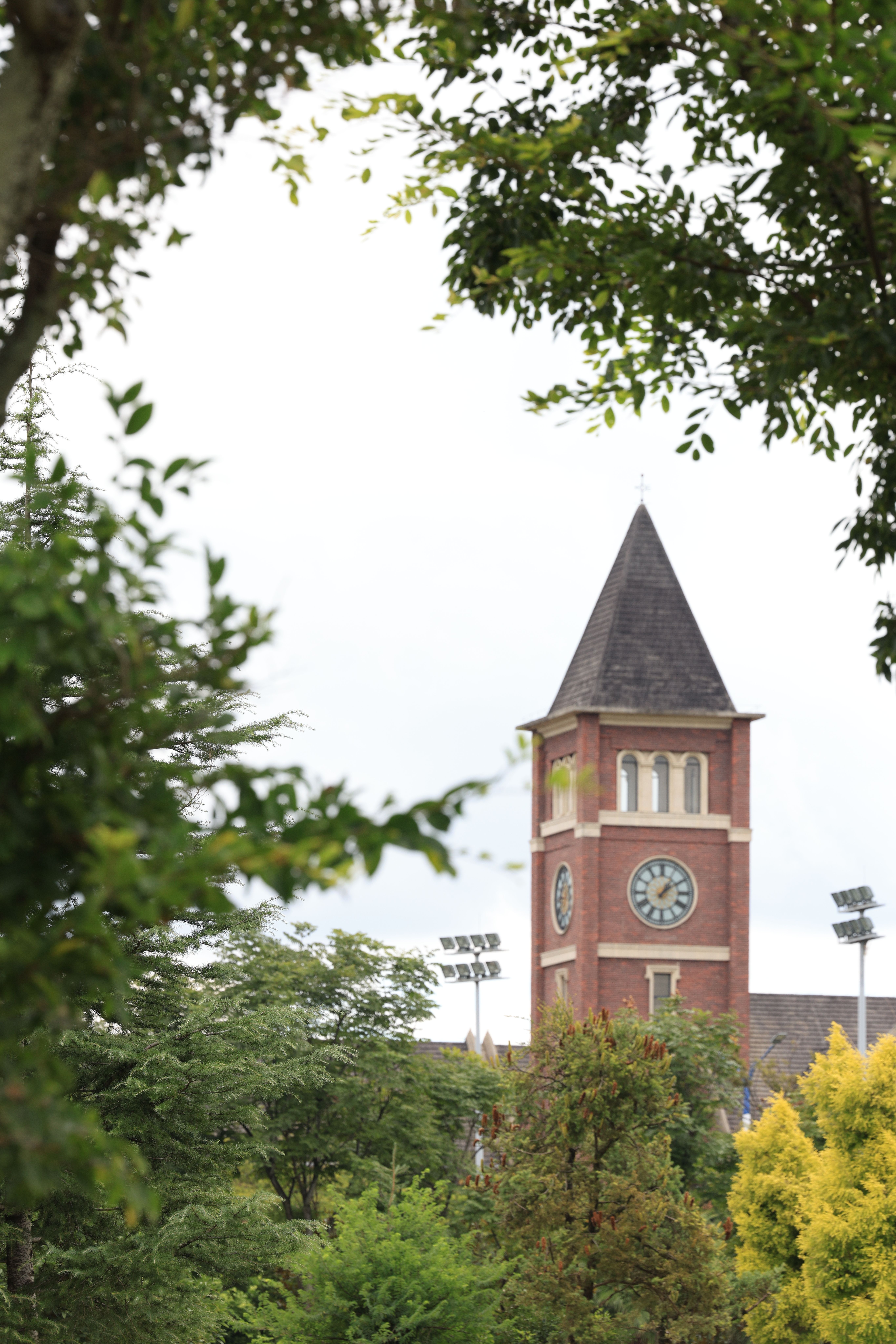 Historic Clock Tower Surrounded by Lush Trees · Free Stock Photo
