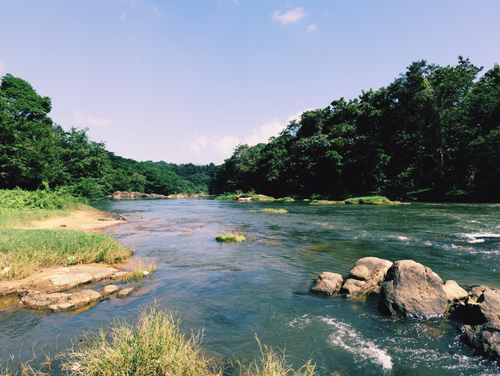Free Beautiful river scene with lush green trees and clear blue sky. Stock Photo