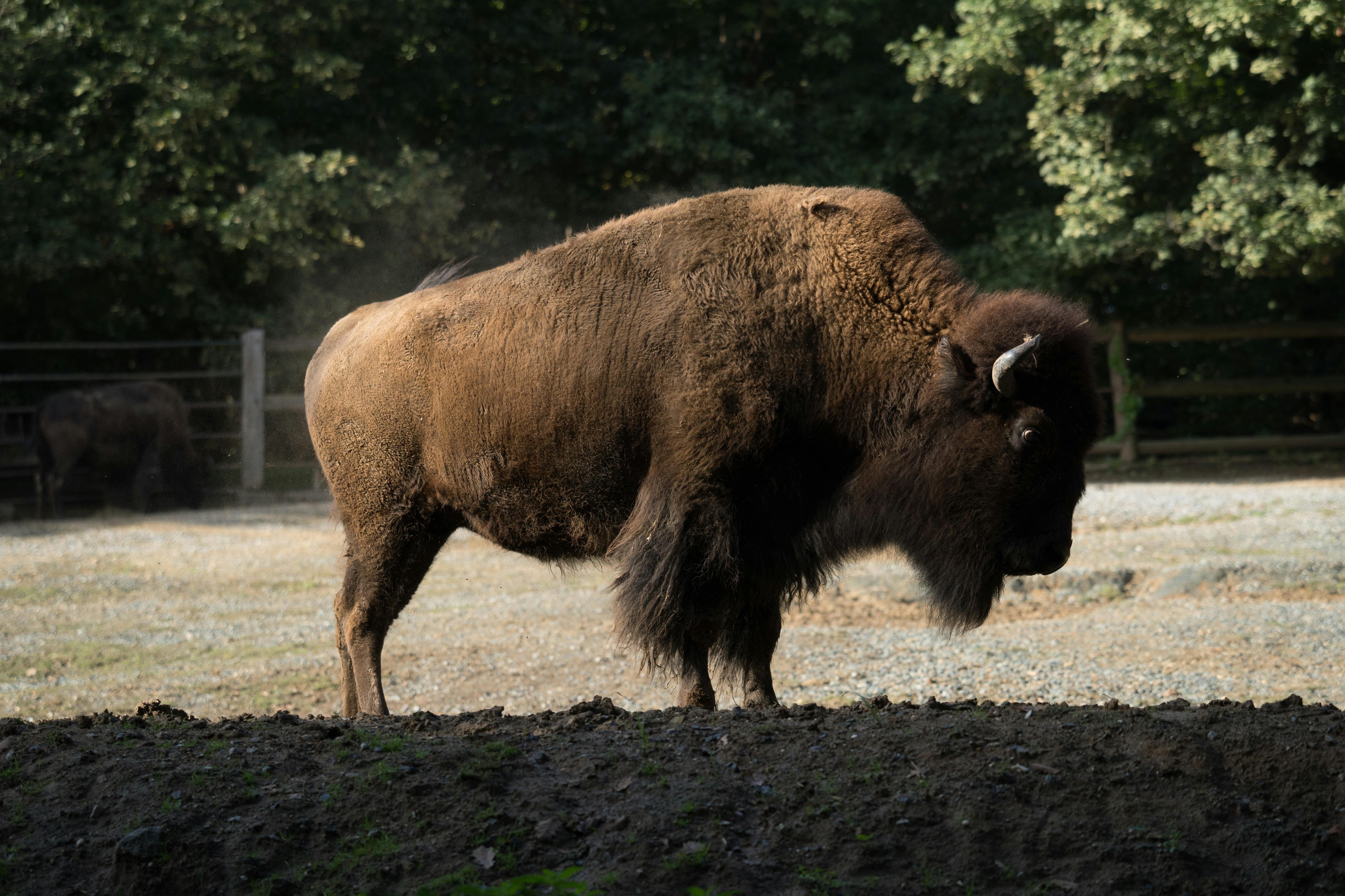 Landmarks in Moravia