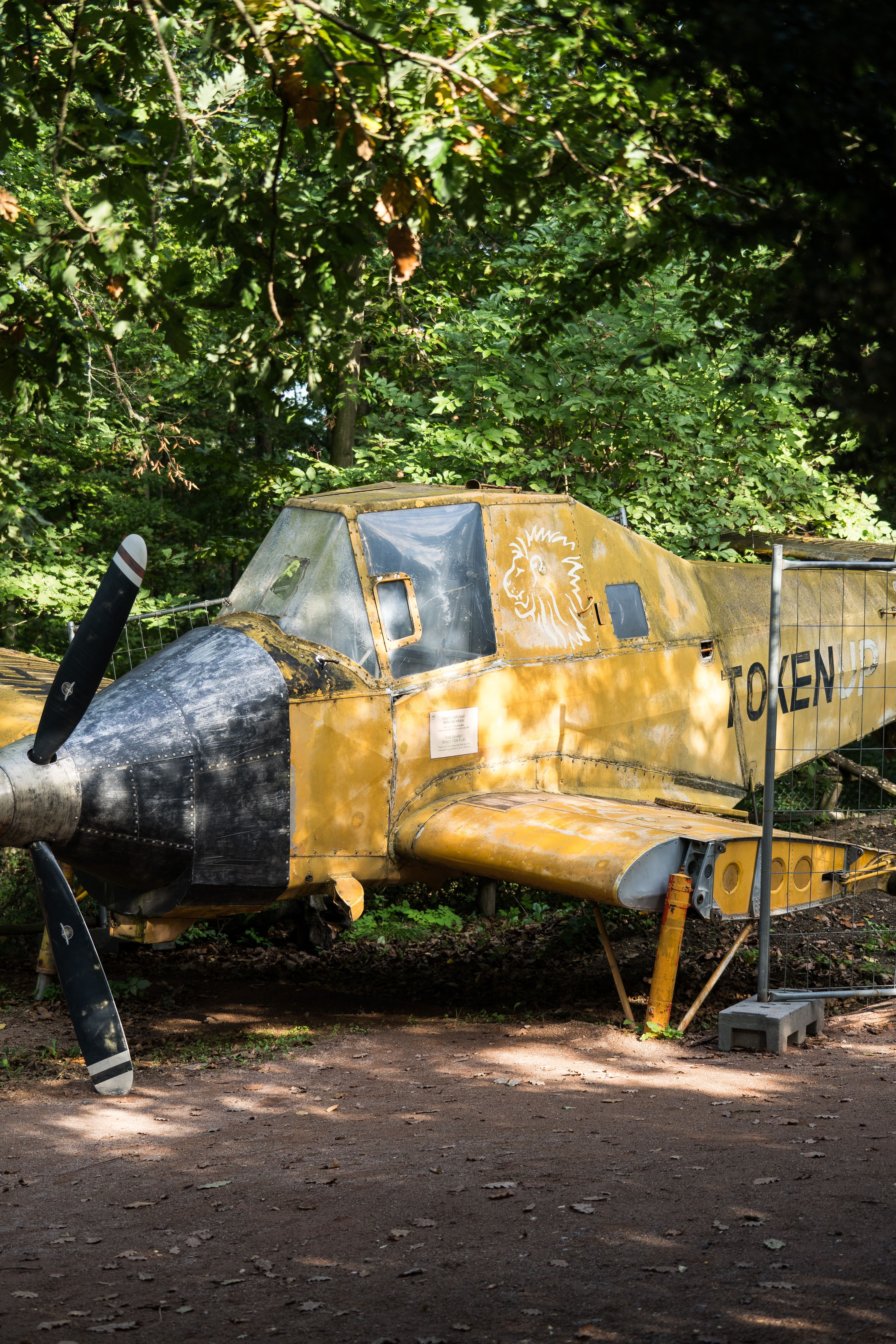 Vintage yellow airplane parked in a lush green forest in South Moravian Region, Чехия.