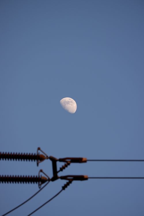 Free Crescent moon in a clear twilight sky with silhouetted power lines. Stock Photo