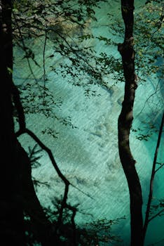Calm turquoise lake viewed through dense branches in Croatia, capturing nature's tranquility.