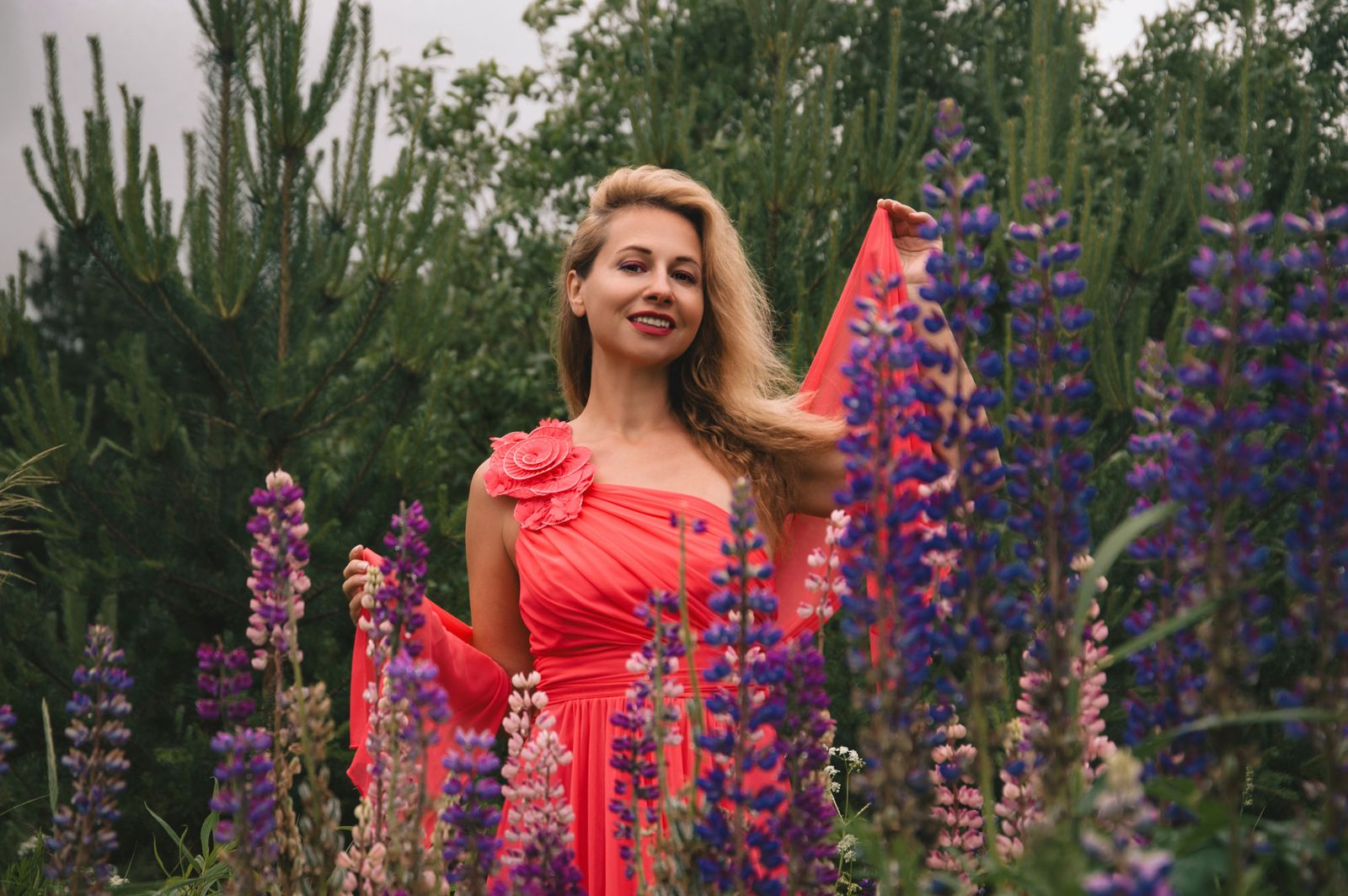 Among the lupins paint by numbers