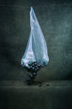 A dramatic still life featuring dark grapes encased in a plastic bag on a textured backdrop.