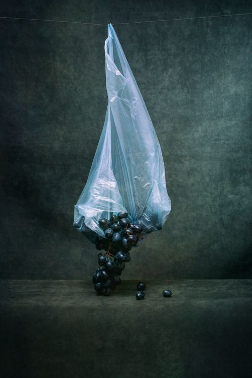 Free A dramatic still life featuring dark grapes encased in a plastic bag on a textured backdrop. Stock Photo