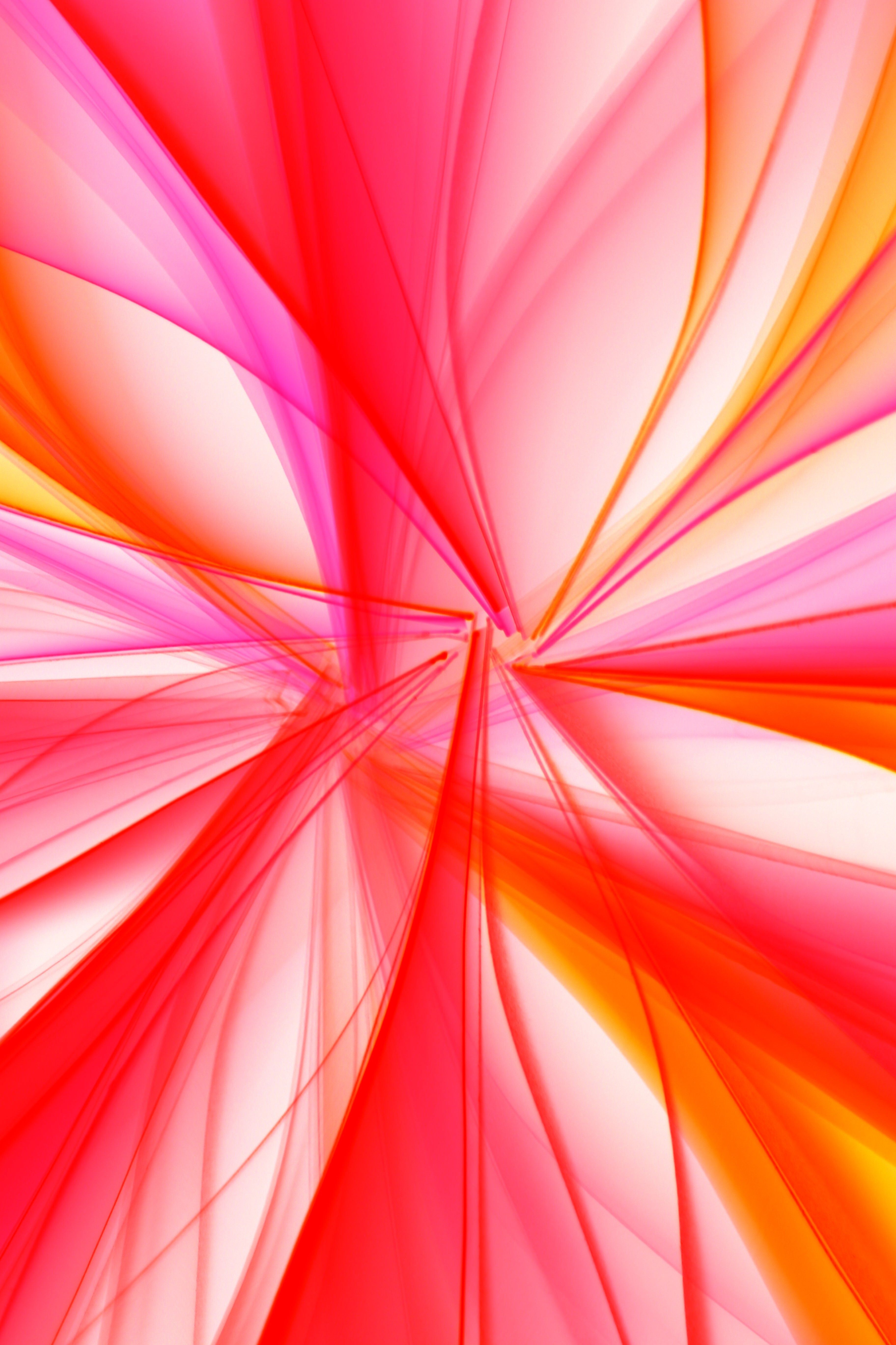 Vibrant Abstract Art with Red and Pink Tones · Free Stock Photo