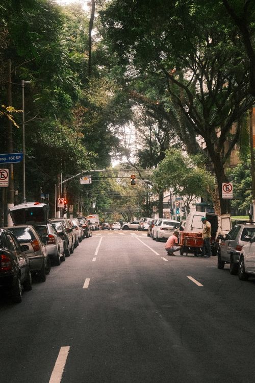 Free A tranquil urban scene showcasing Brazil's green, tree-lined streets with parked cars. Stock Photo