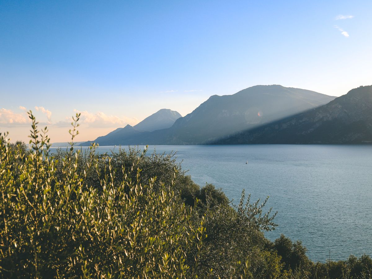 21 Day Plant-Based Culinary Arts Course in Italy 2