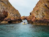 好的，我会根据您的要求进行句子的优化