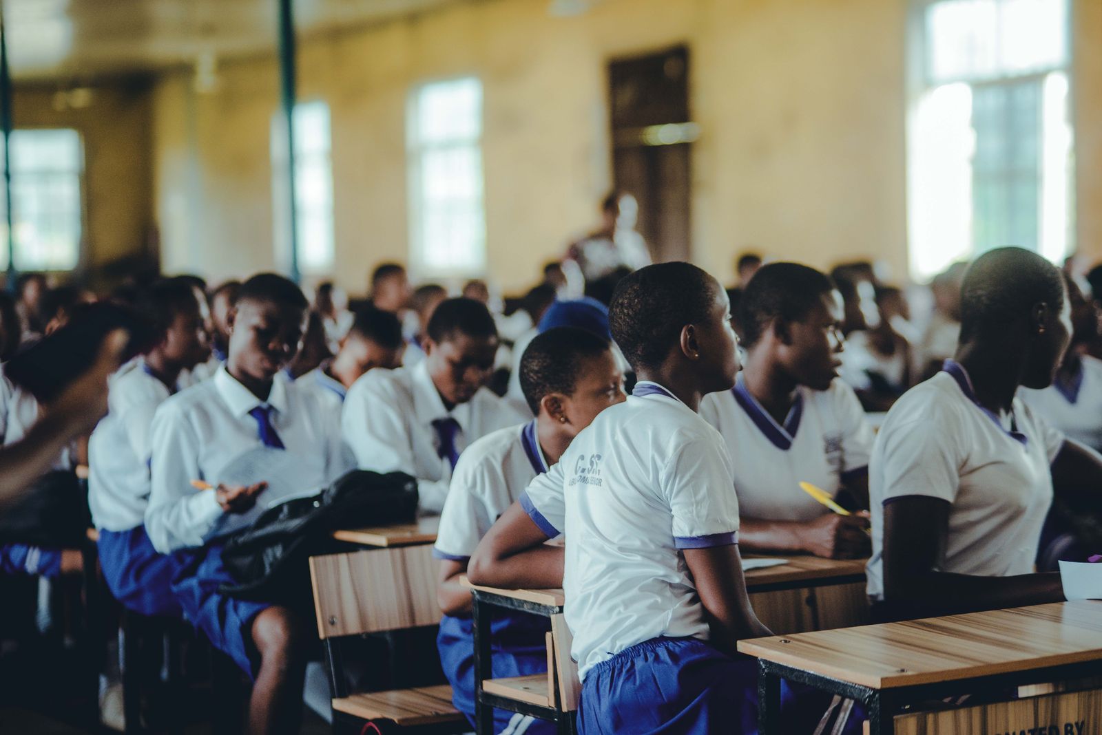 Students concentrating on their studies