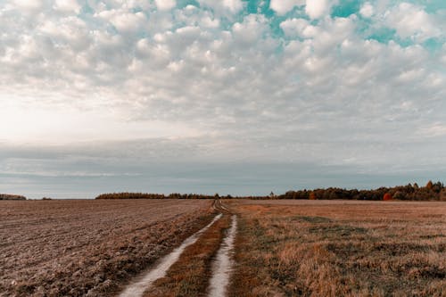 Photo Of Grass Field During Dawn 