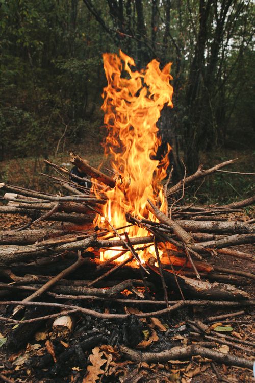 Free Vibrant campfire in an outdoor forest, perfect for camping and travel themes. Stock Photo