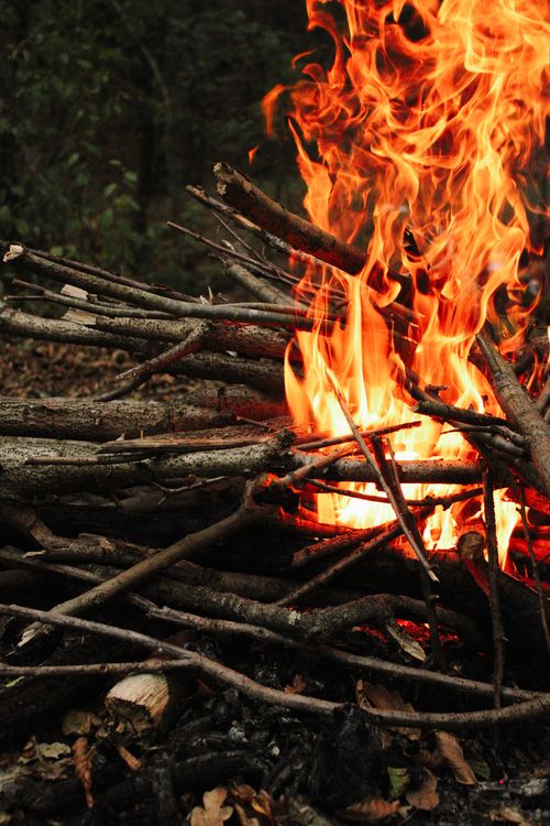 Free A blazing campfire with vibrant orange flames surrounded by a natural forest setting, perfect for outdoor adventure vibes. Stock Photo