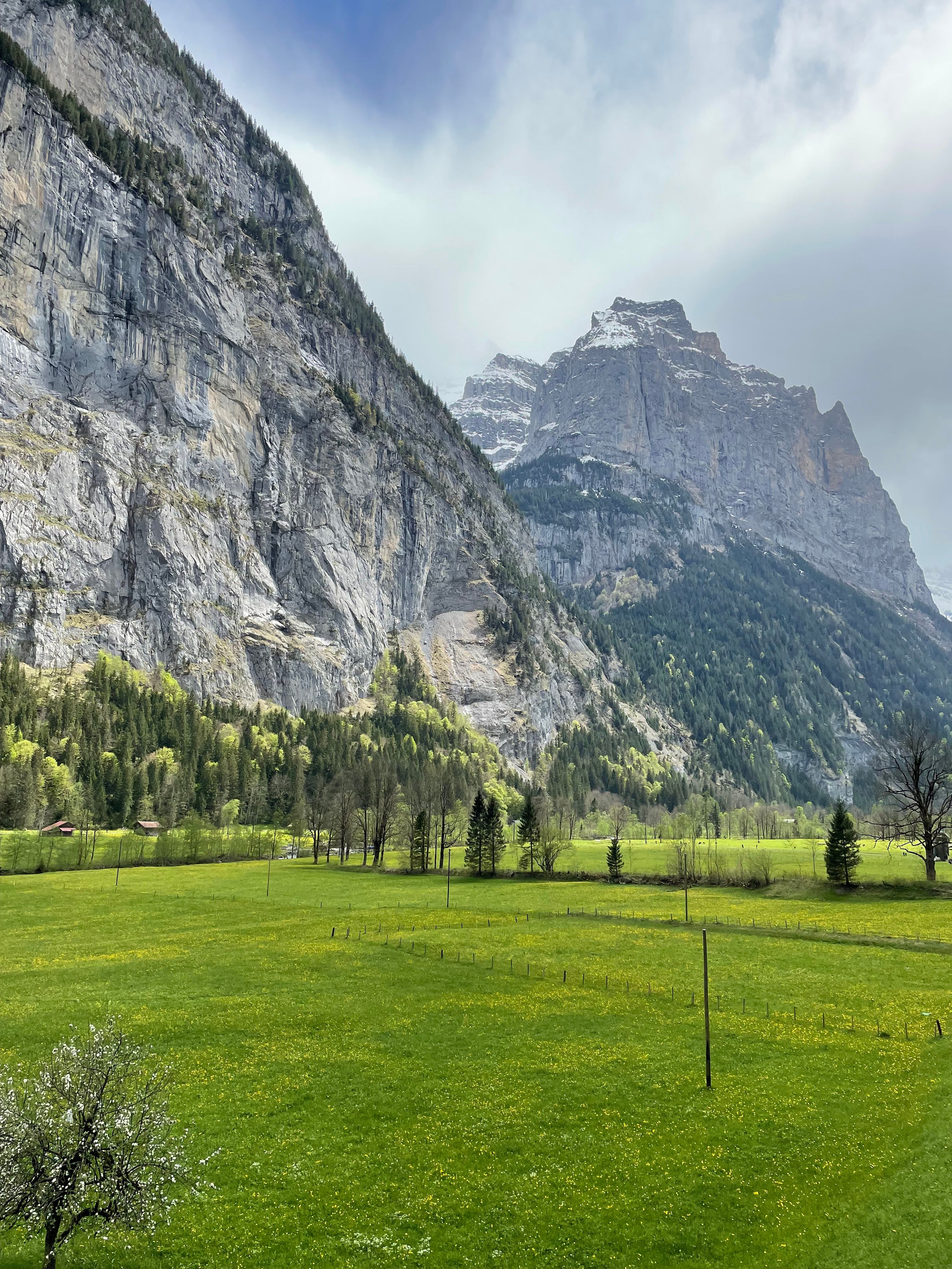 Majestic Swiss Alps with Lush Green Valley · Free Stock Photo