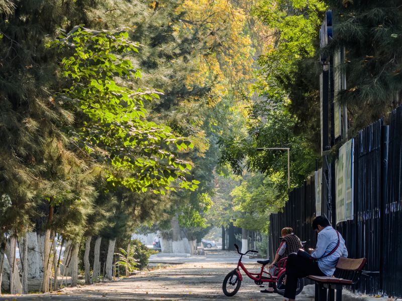 Fergana City & the Bazaars