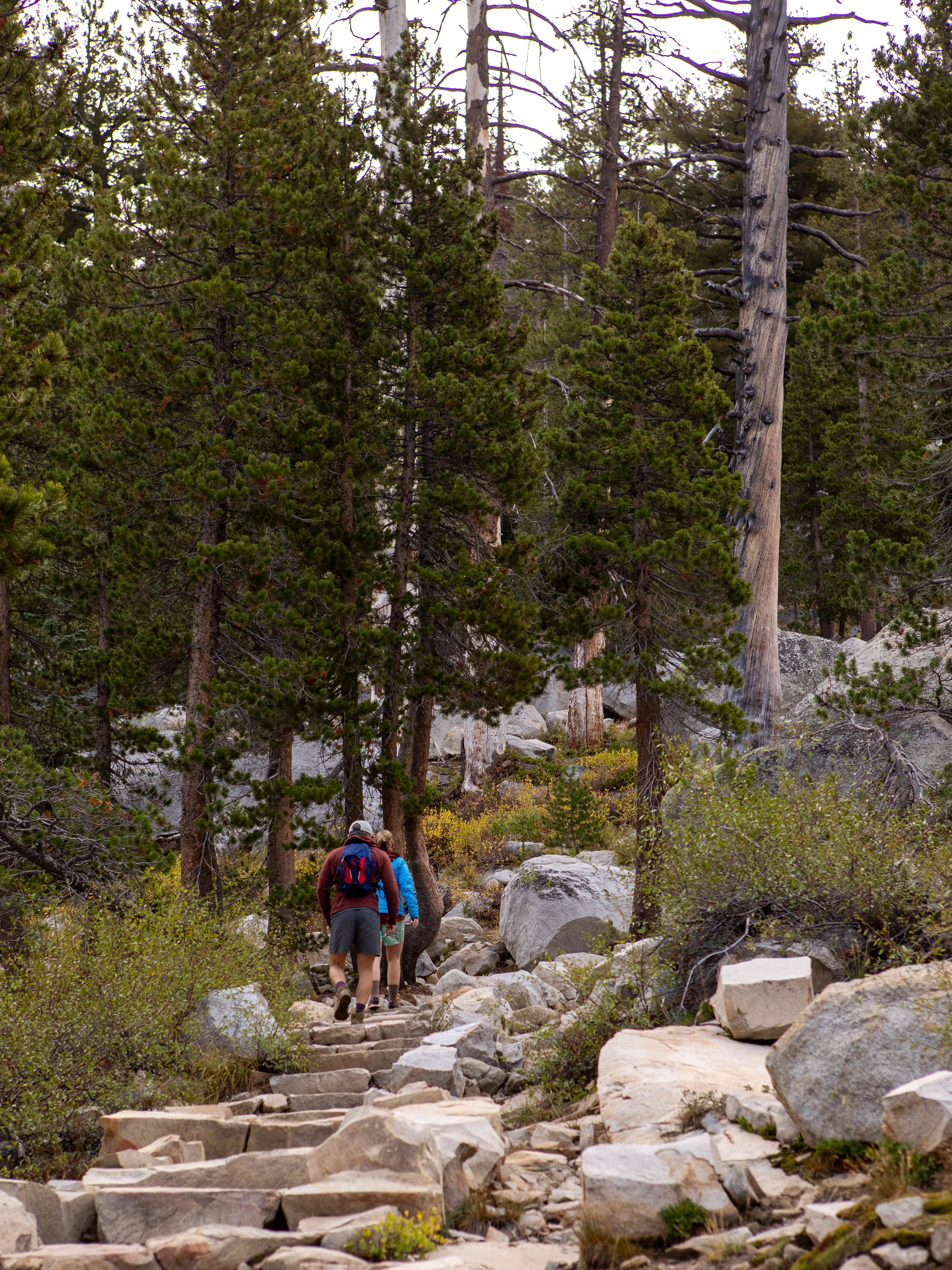 Hikers Exploring Scenic Trail in California Wilderness · Free Stock Photo