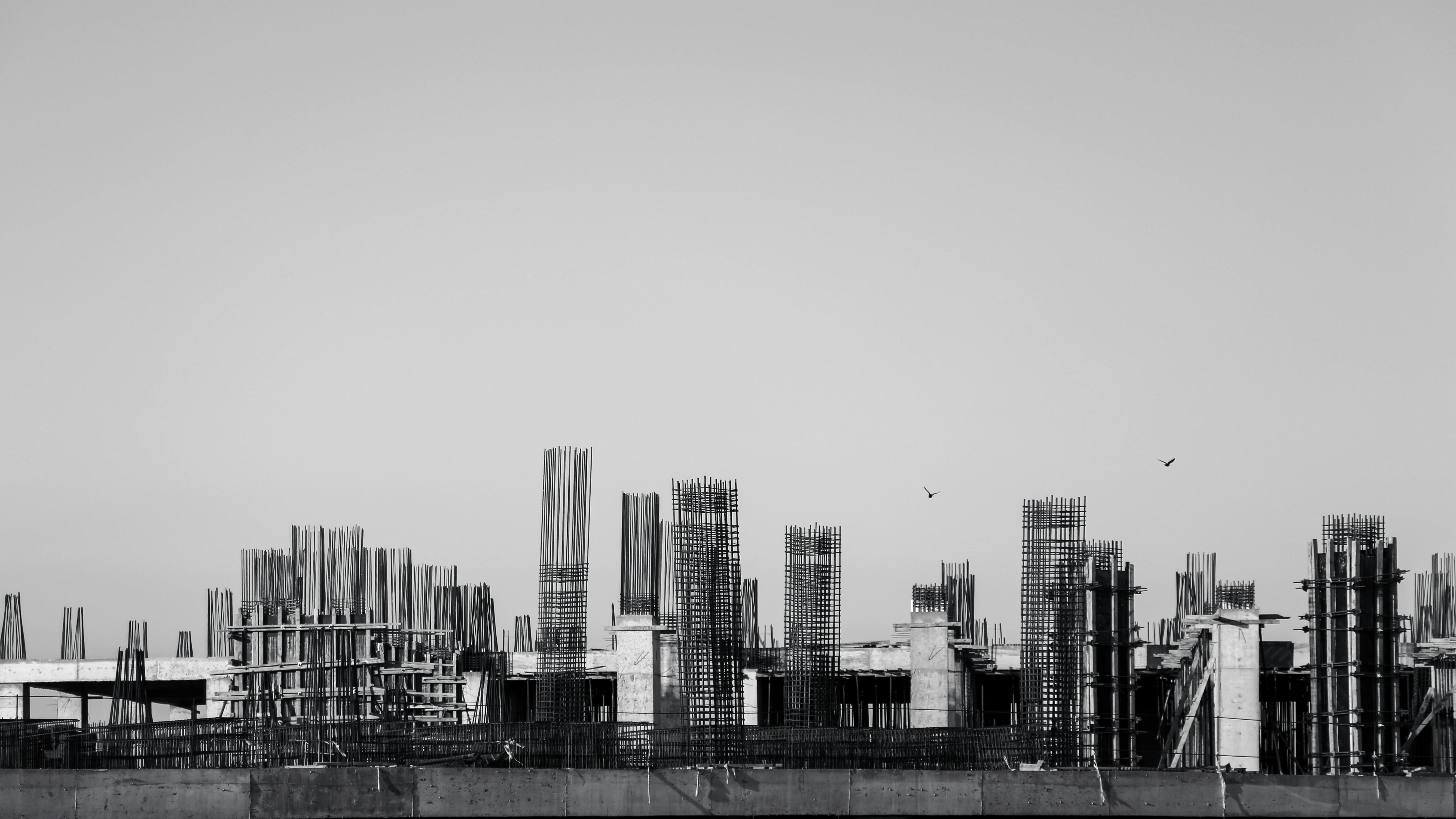 Black and white image of a construction site with birds flying above, emphasizing industrial growth.