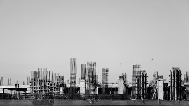 Black and white image of a construction site with birds flying above, emphasizing industrial growth.