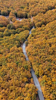 A breathtaking aerial view of a winding road through a vibrant autumn forest.