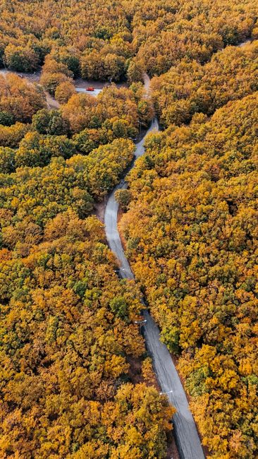 A breathtaking aerial view of a winding road through a vibrant autumn forest.
