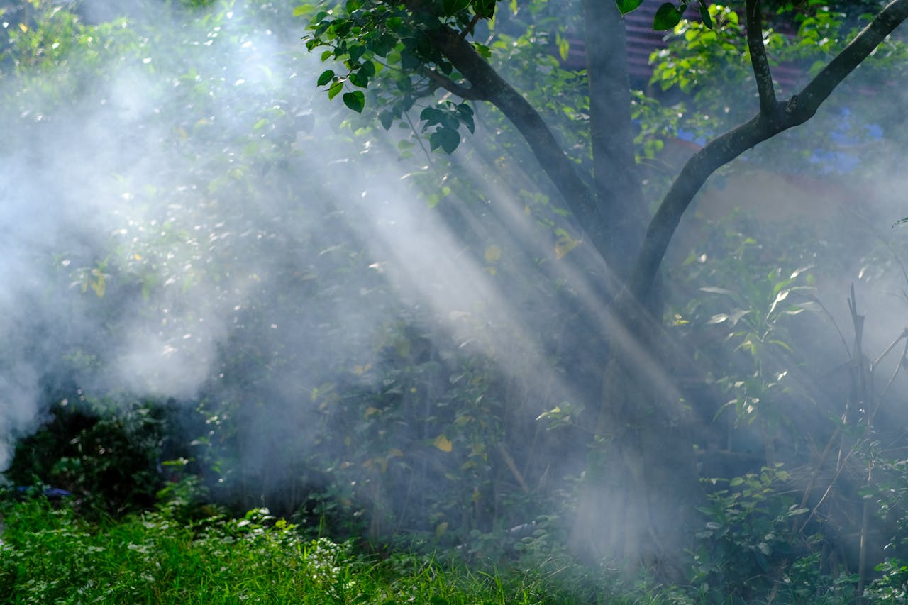 Bạn sẽ gặp cha mẹ bao nhiêu lần trước khi họ qua đời?