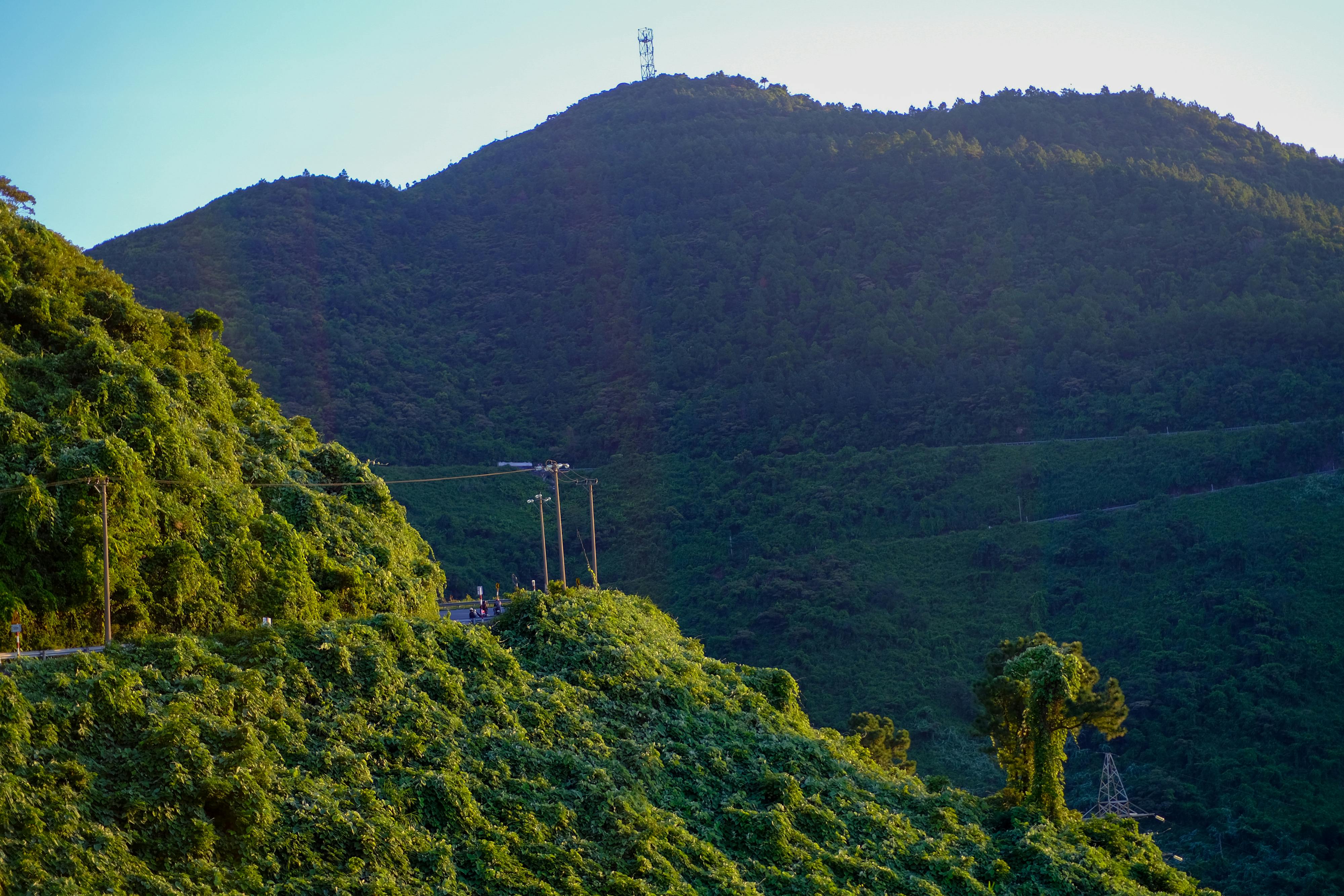 Viết lách như liệu pháp chữa lành tâm hồn 954 – viet lach, ky nang viet, cai thien ky nang viet lach, lam chu nghe thuat viet lach, hanh trinh viet, writing process, viet lach tri lieu, viet lach chua lanh.