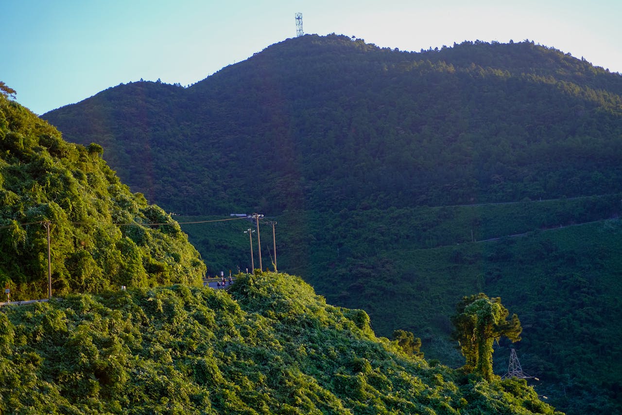 Niên lịch miền gió cát | Chương 01
