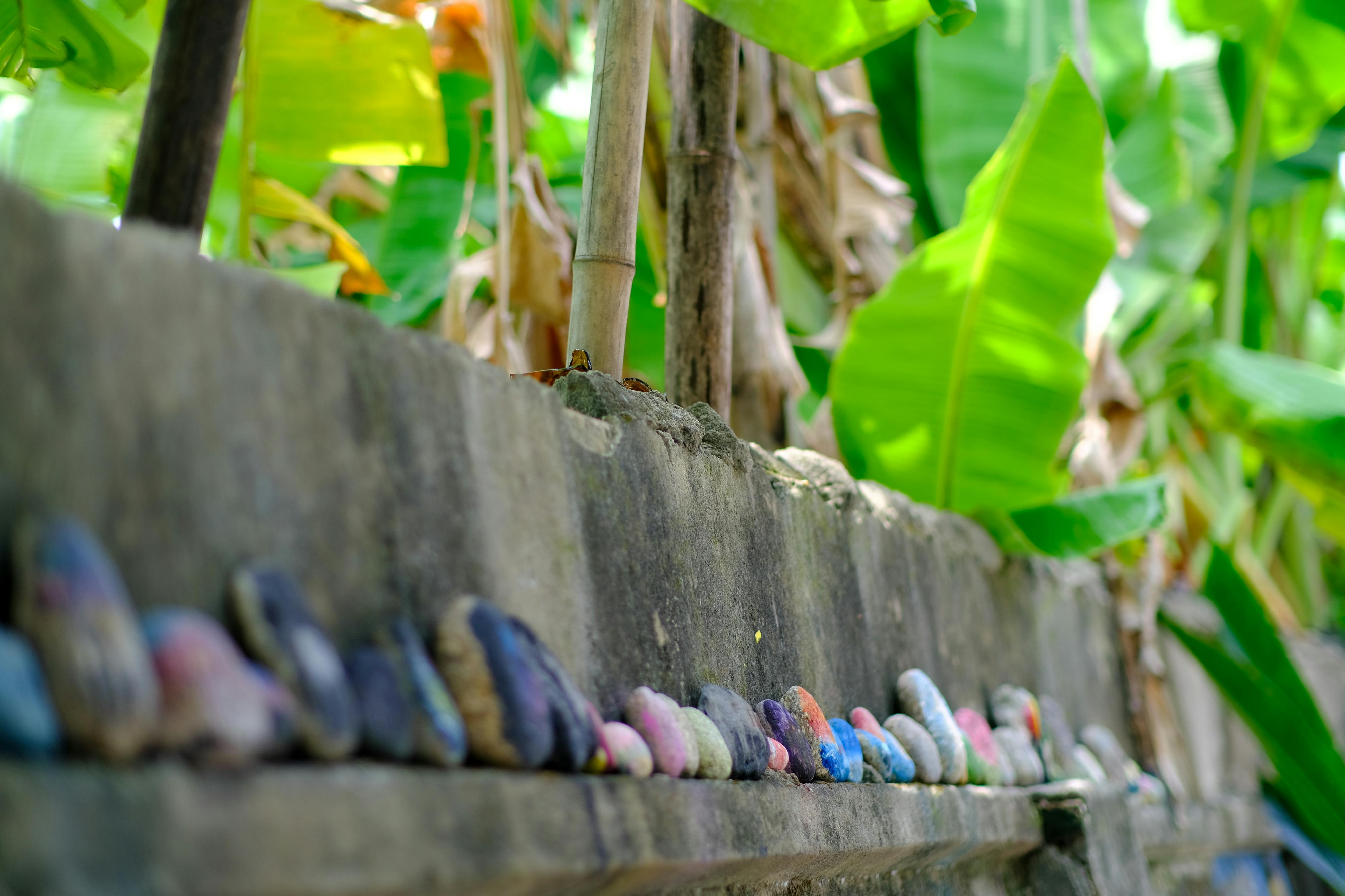 Thần điêu hiệp lữ | Chương 06 421 – thu vien, van hoc, van hoc trung quoc, kiem hiep, kim dung, than dieu hiep lu, than dieu hiep lu chuong 06, than dieu hiep lu 06.