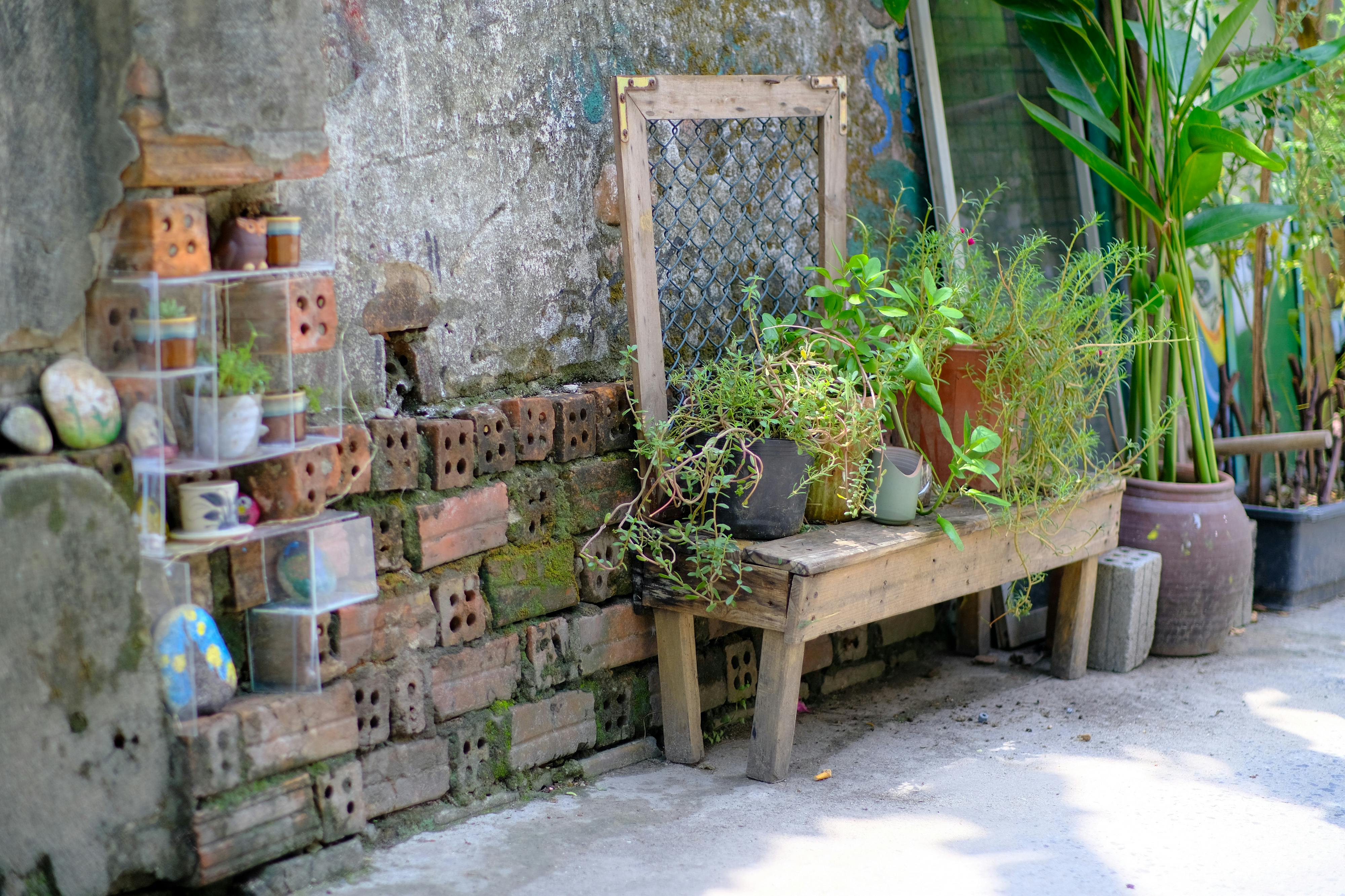 Trung tâm nghiên cứu văn học, phát triển nhà văn Việt Nam