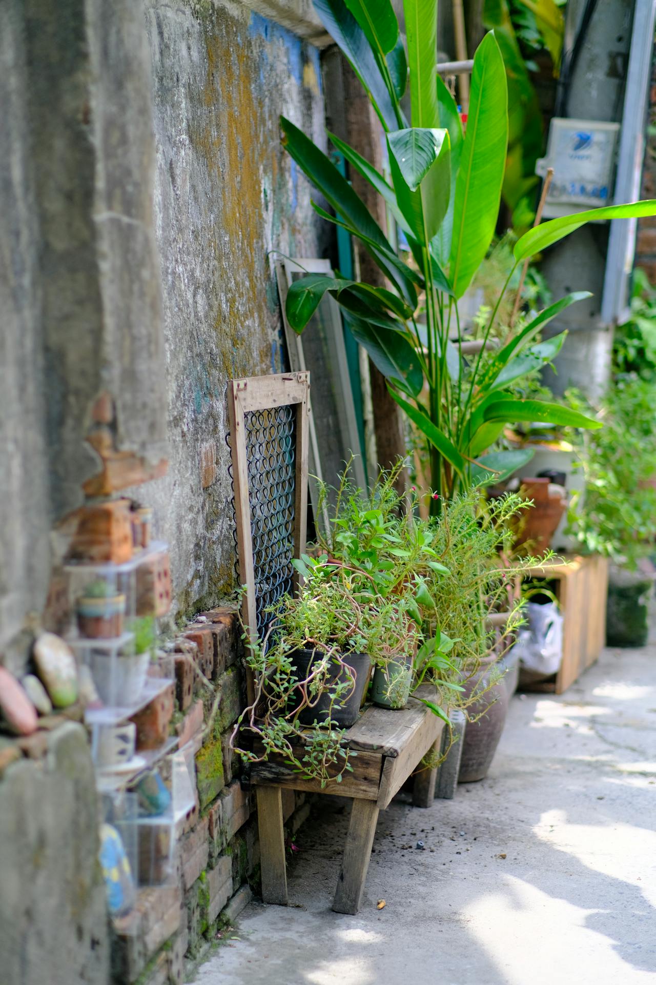 Bọn chiếm đóng