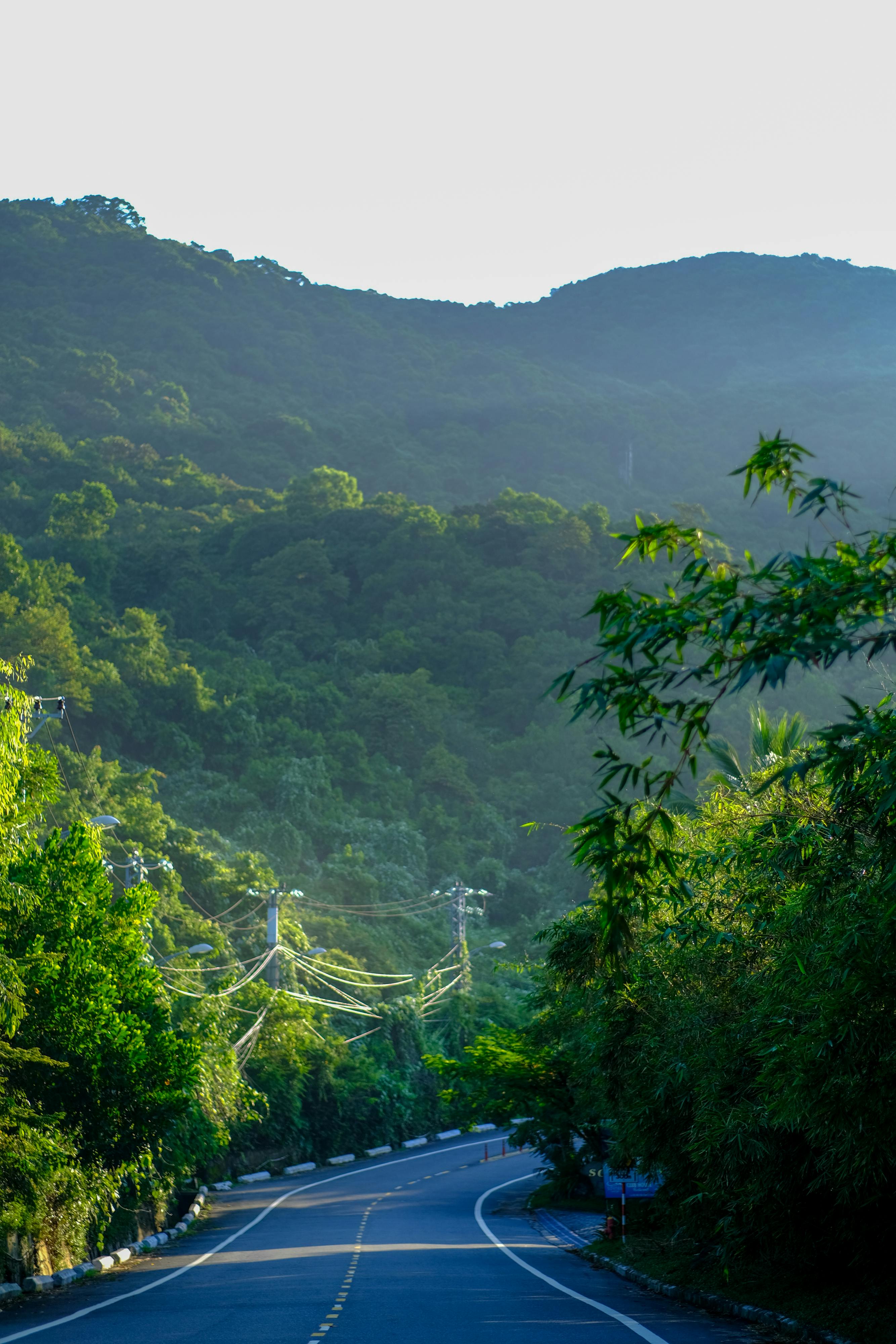 Trung tâm nghiên cứu văn học, phát triển nhà văn Việt Nam