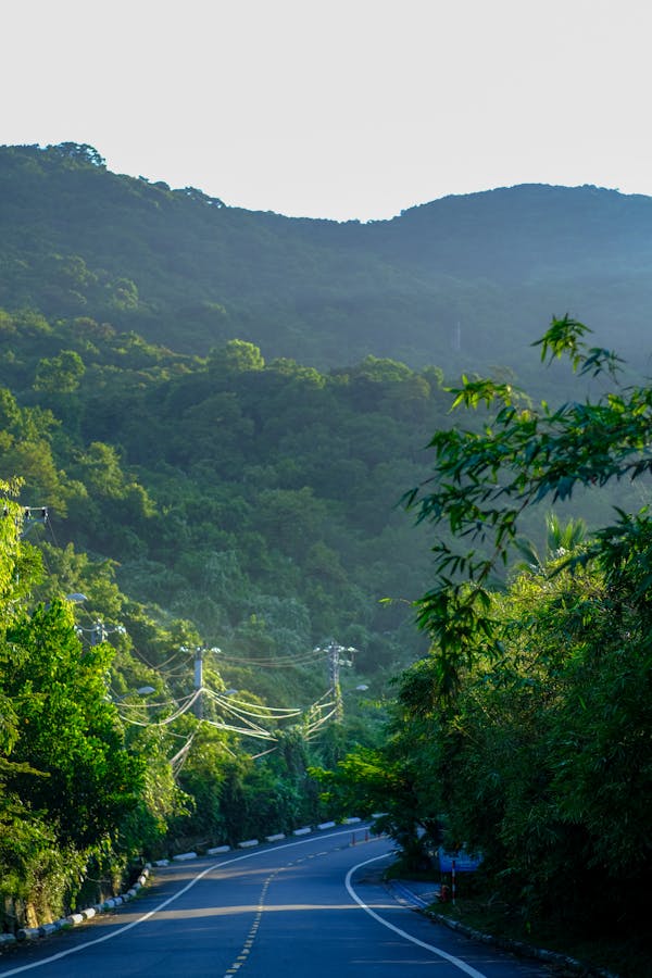 Trung tâm nghiên cứu văn học, phát triển nhà văn Việt Nam