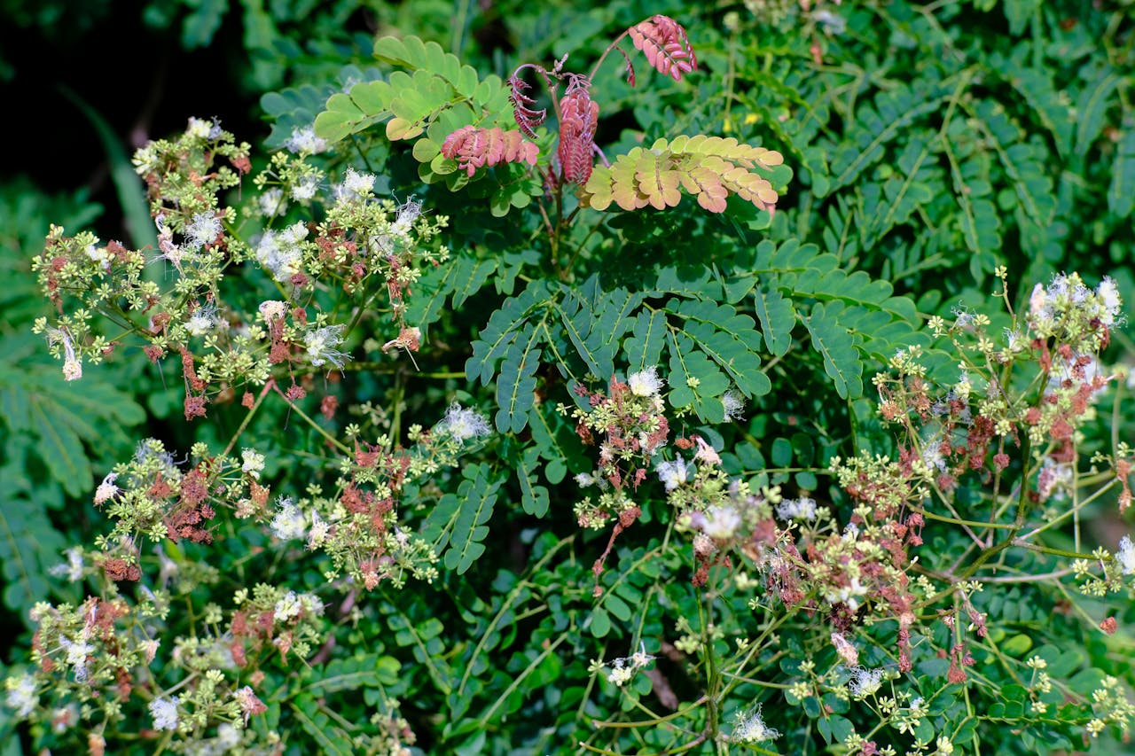 Thám tử lừng danh Conan | Chương 0669