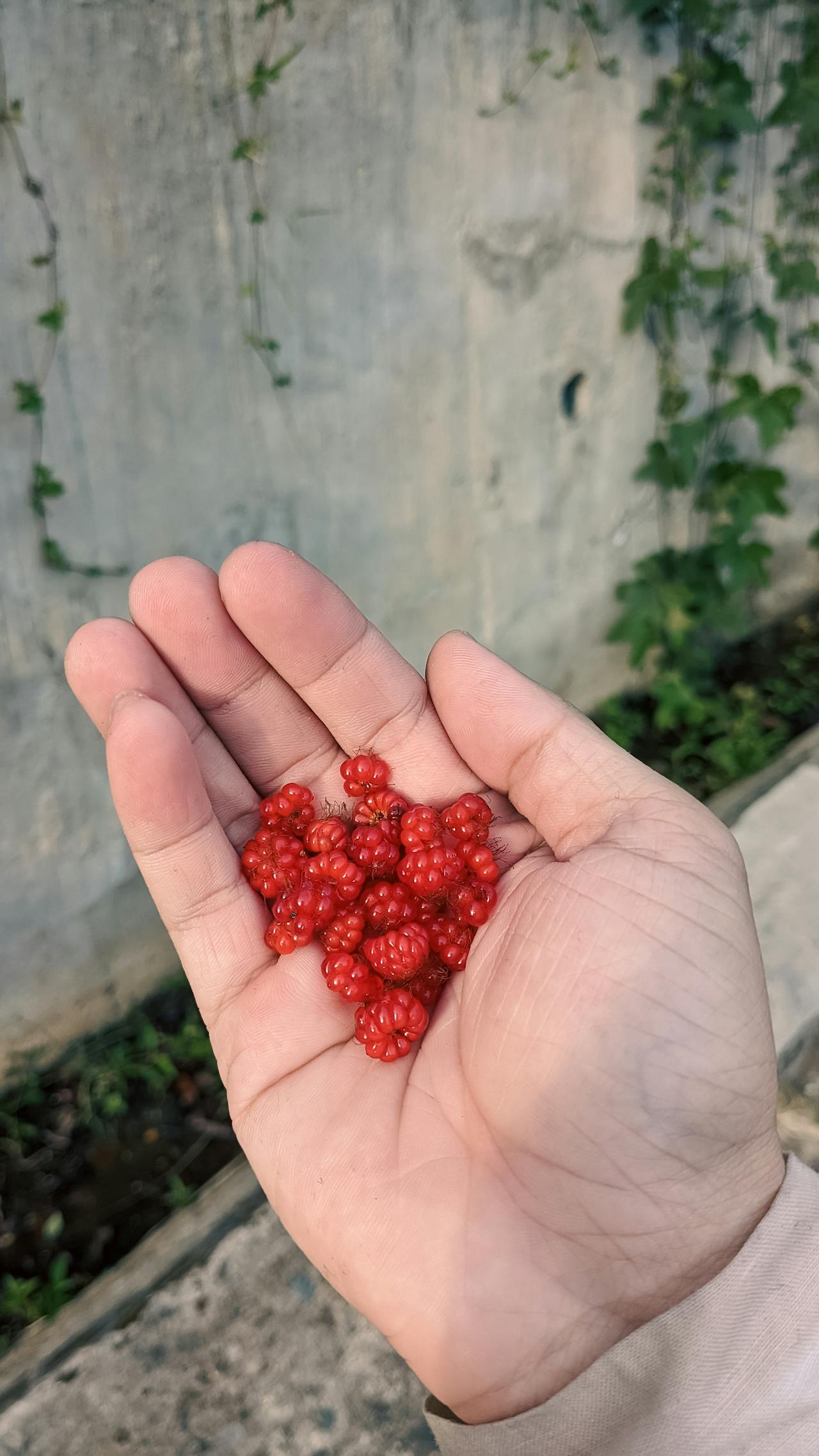 Thám tử lừng danh Conan | Chương 1129