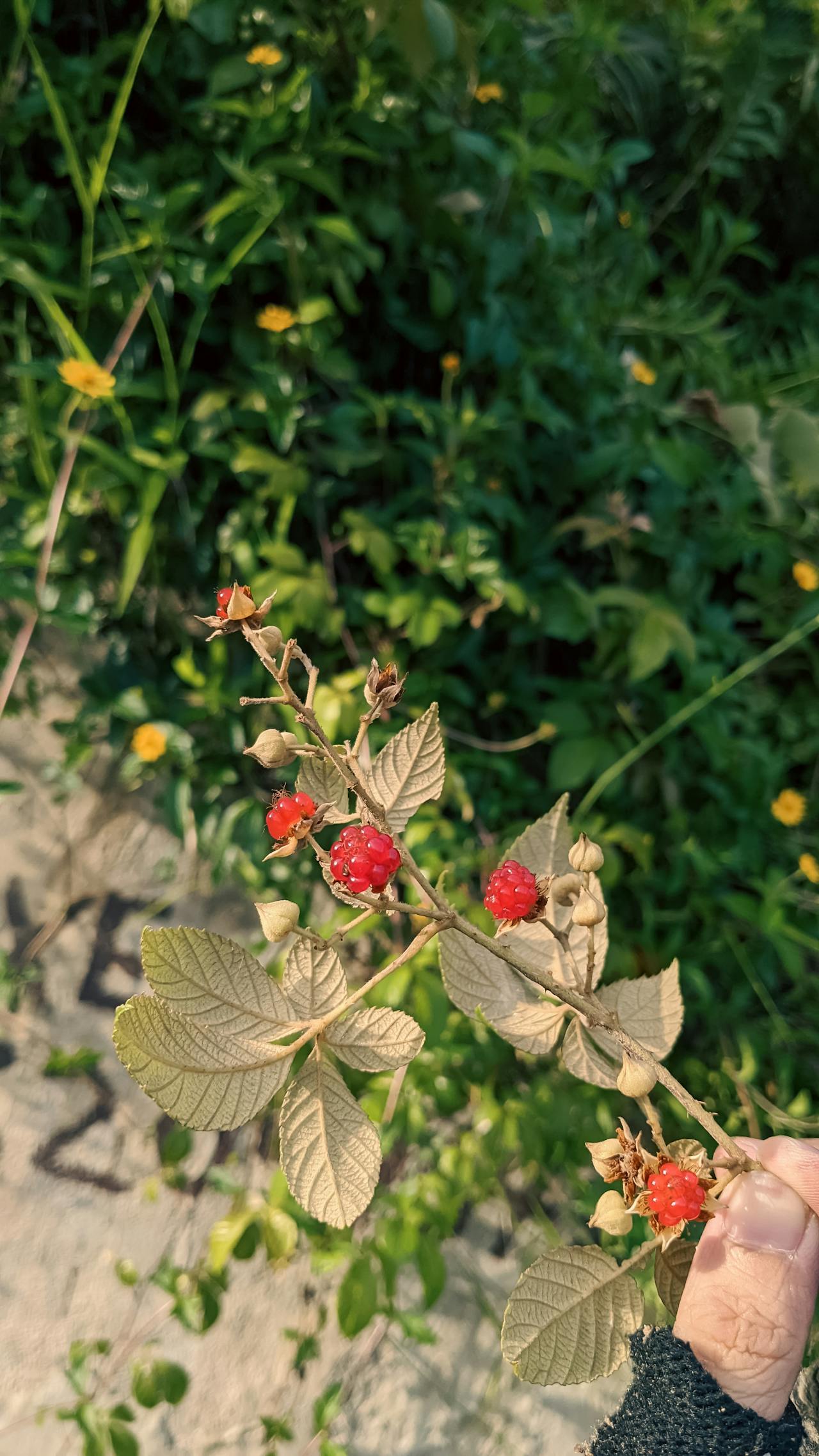 Tội ác và trừng phạt