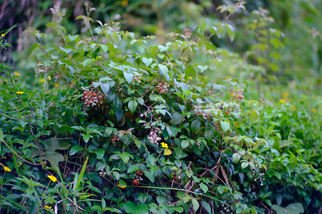 Nói với tuổi hai mươi | Chương 06