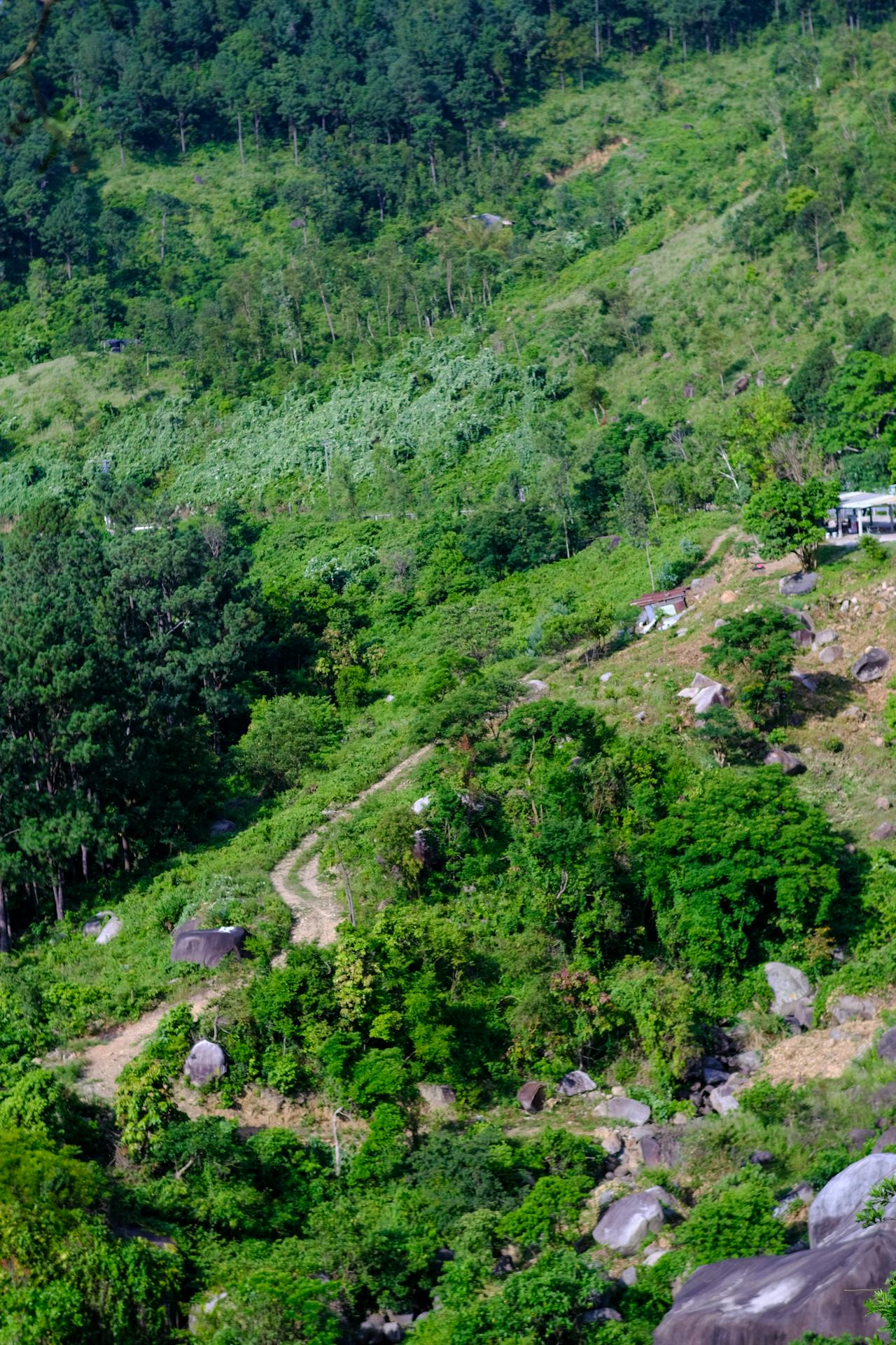 Tìm hiểu toàn diện về hosting website Vercel