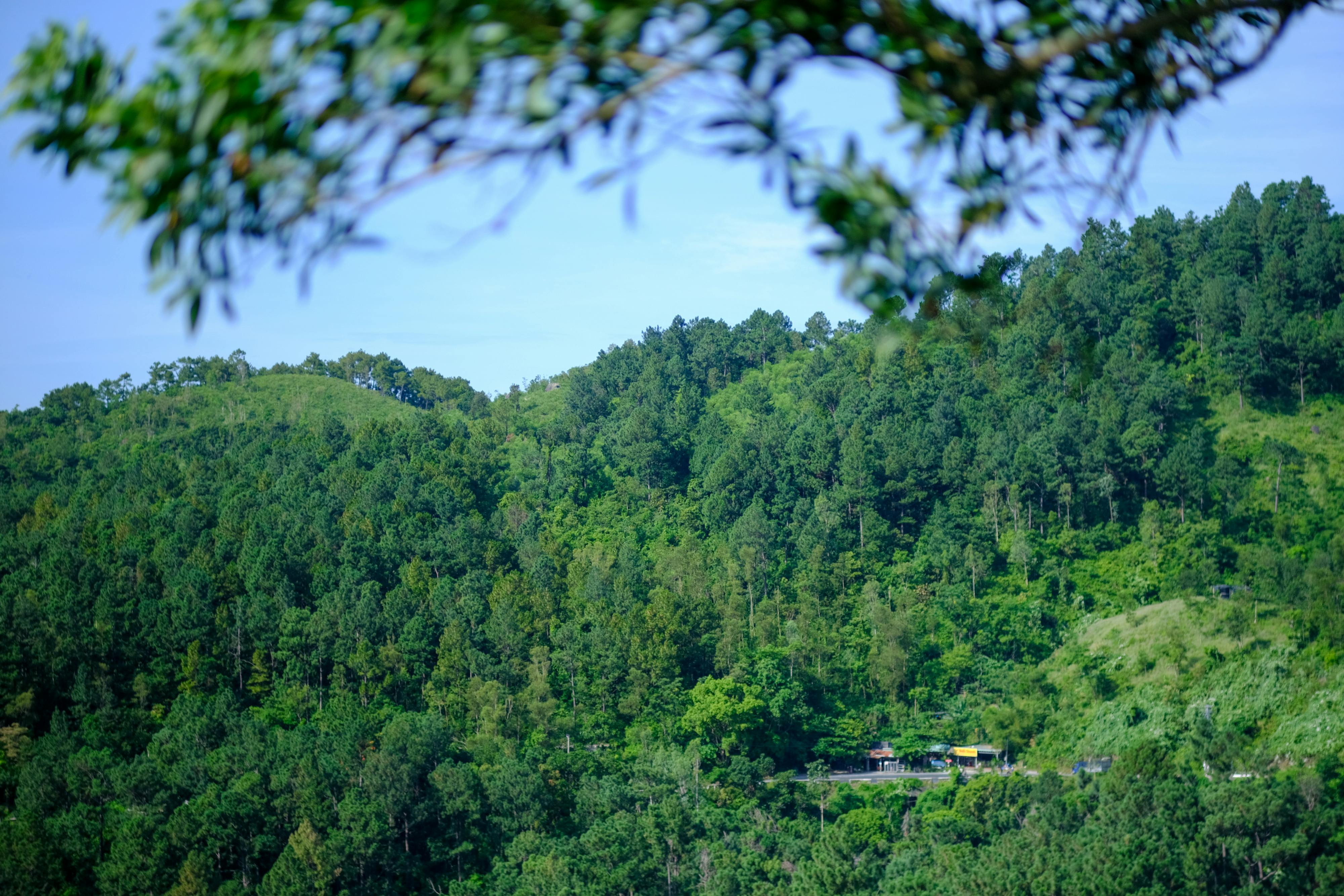 Gieo trồng hạnh phúc | Chương 16 065 – thu vien, van hoc, van hoc viet nam, doan van, ton giao, phat giao, thien van, thuc hanh ton giao, thich nhat hanh, gieo trong hanh phuc, gieo trong hanh phuc chuong 15, gieo trong hanh phuc 15.