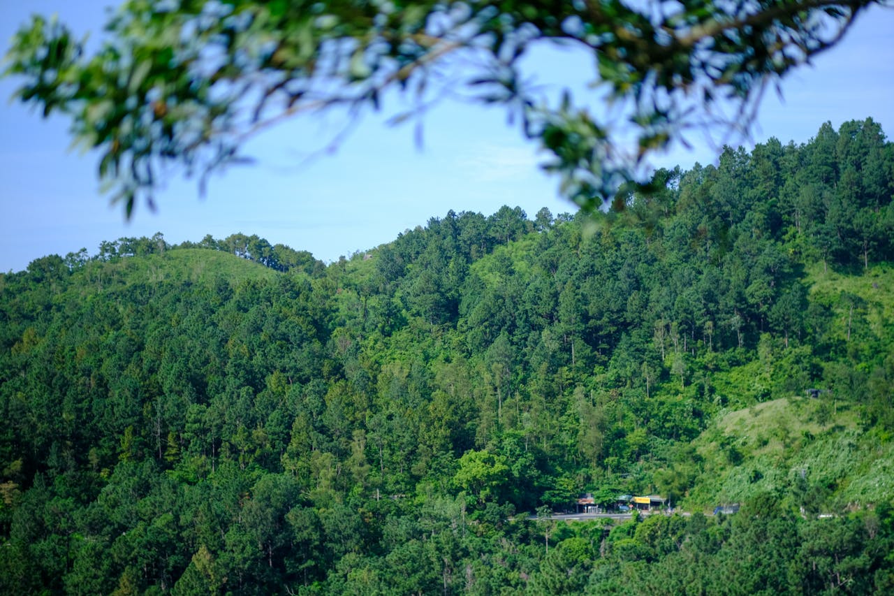 Bài thơ chữ số