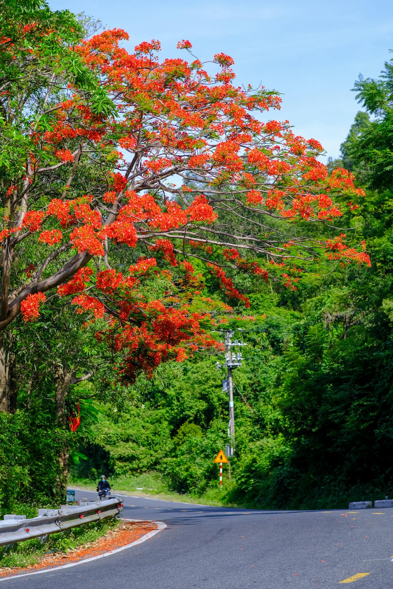 Hiểu về trái tim | Chương 31
