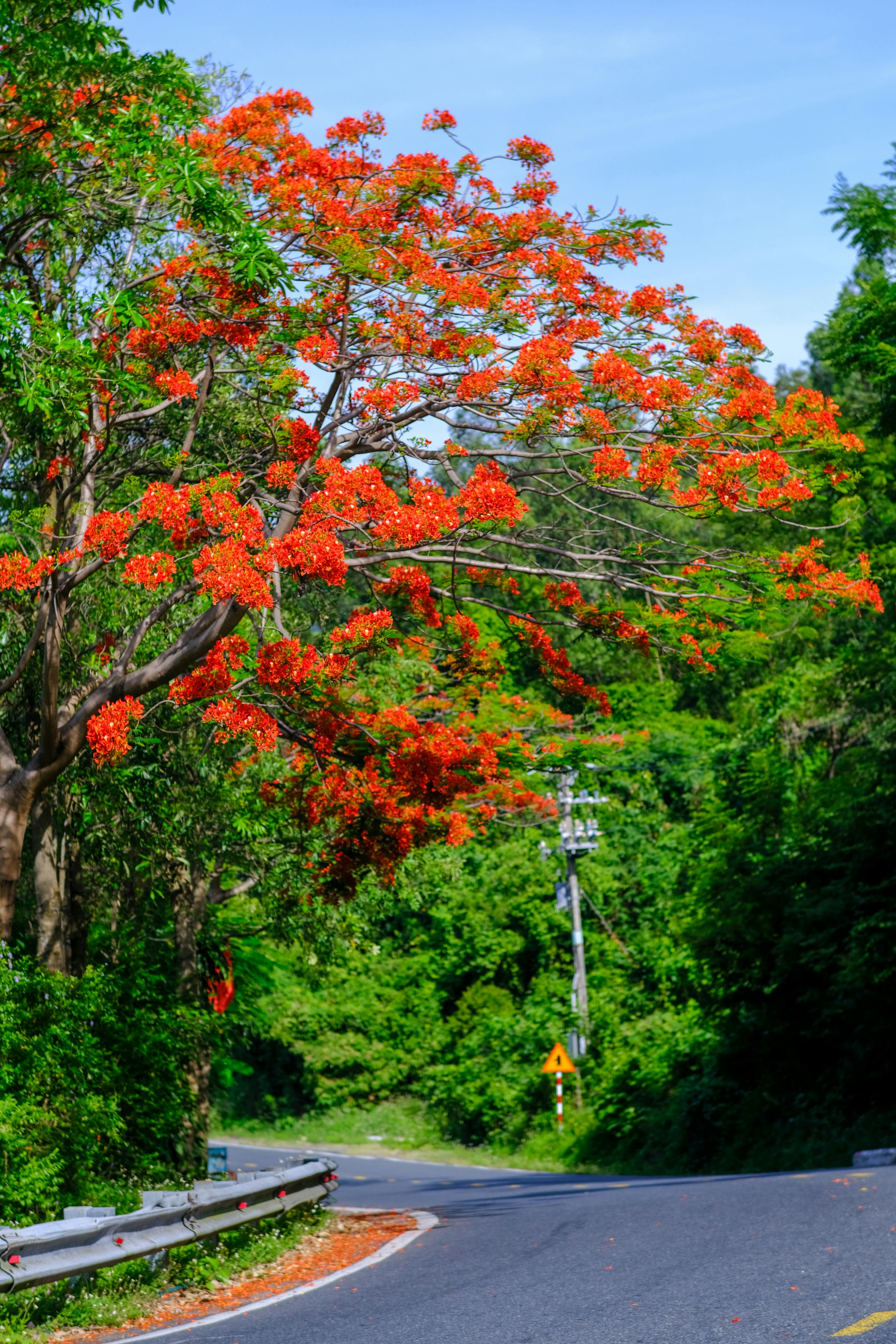Big Bang không phải khởi đầu của vũ trụ 938 – khoa hoc, vu tru, vat ly thien van, khoa hoc vu tru, vat ly luong tu, vu no lon, big bang, khoi nguon vu tru, khoi dau vu tru.