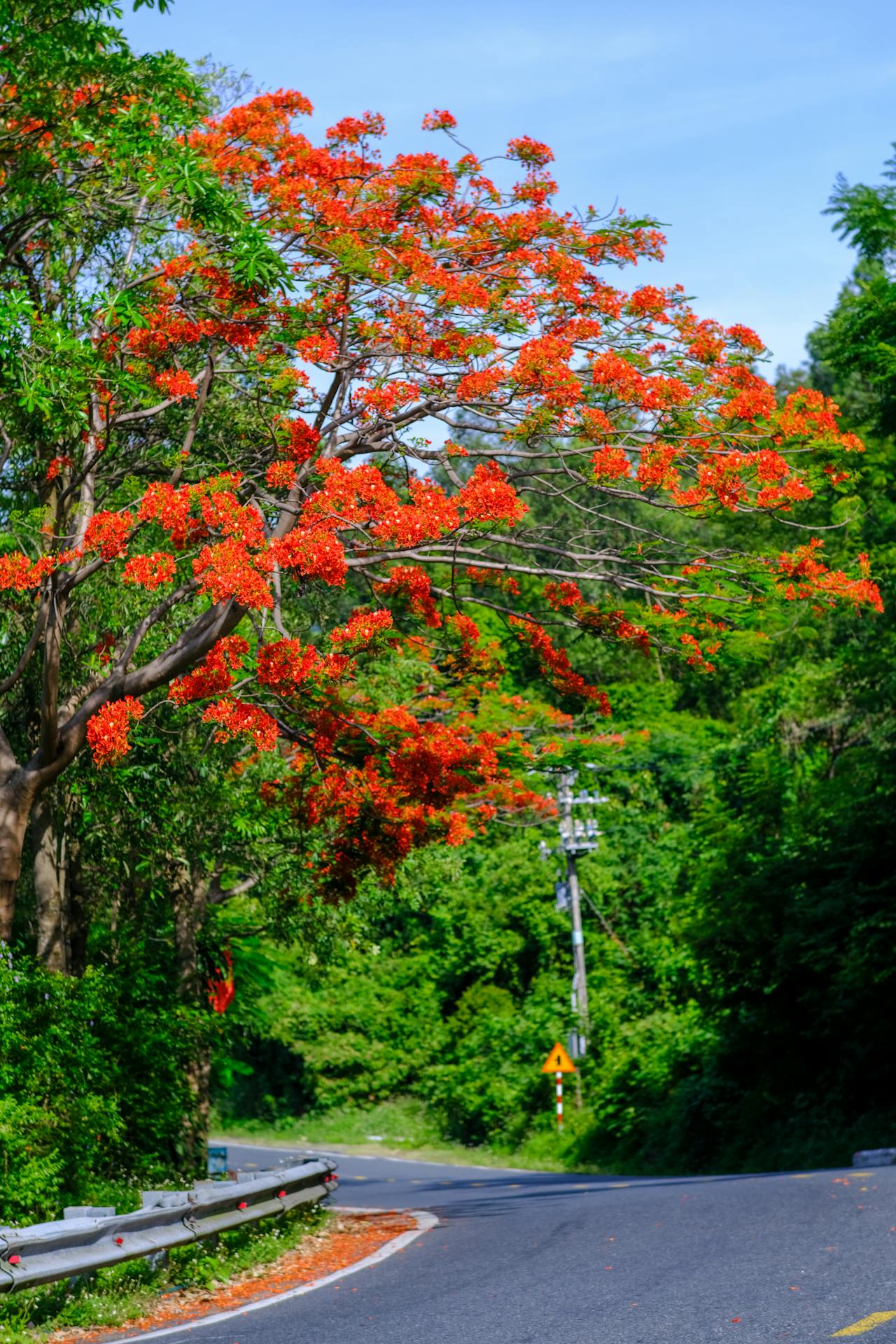 Bụt là hình hài, Bụt là tâm thức | Chương 02