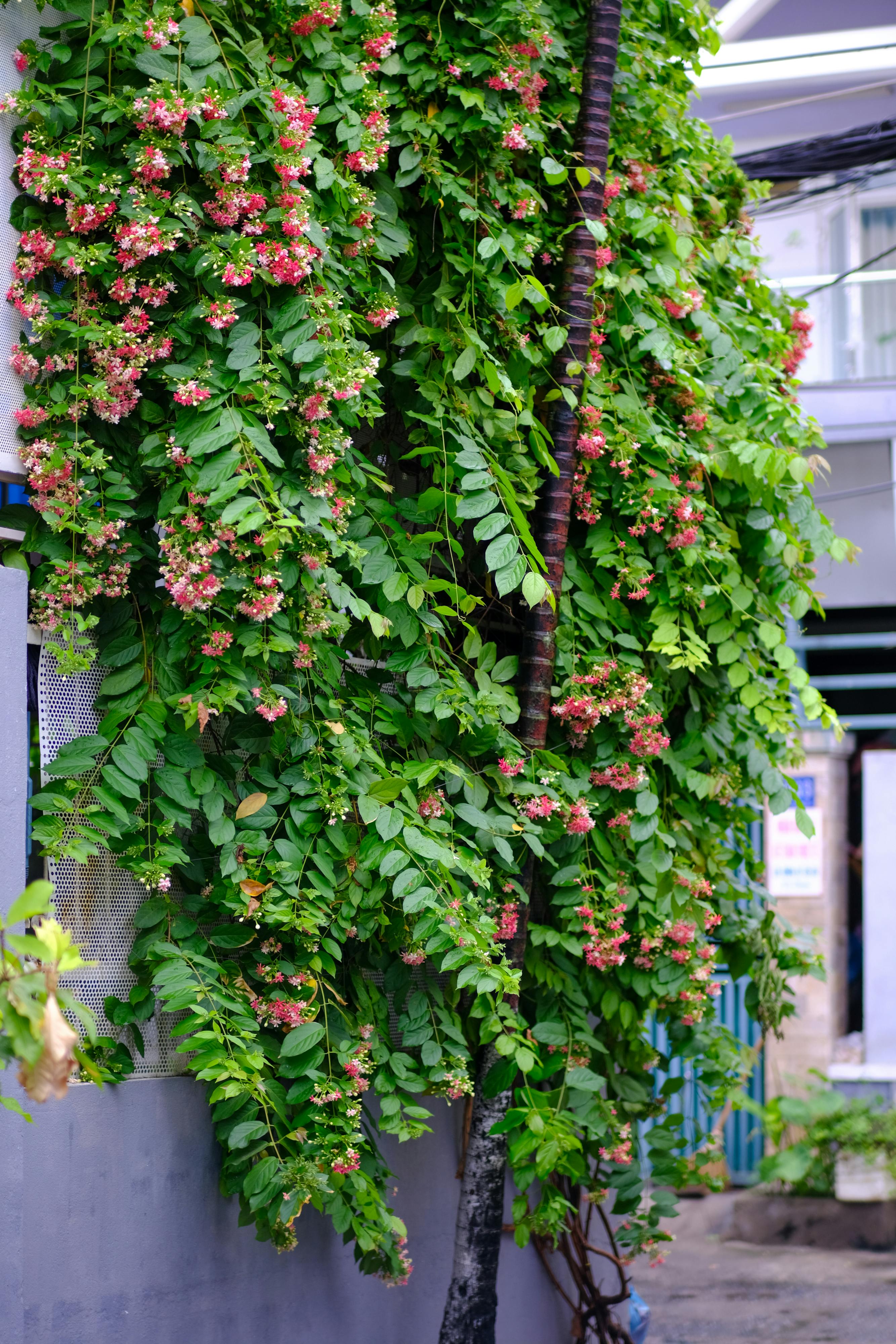 Trung tâm nghiên cứu văn học, phát triển nhà văn Việt Nam