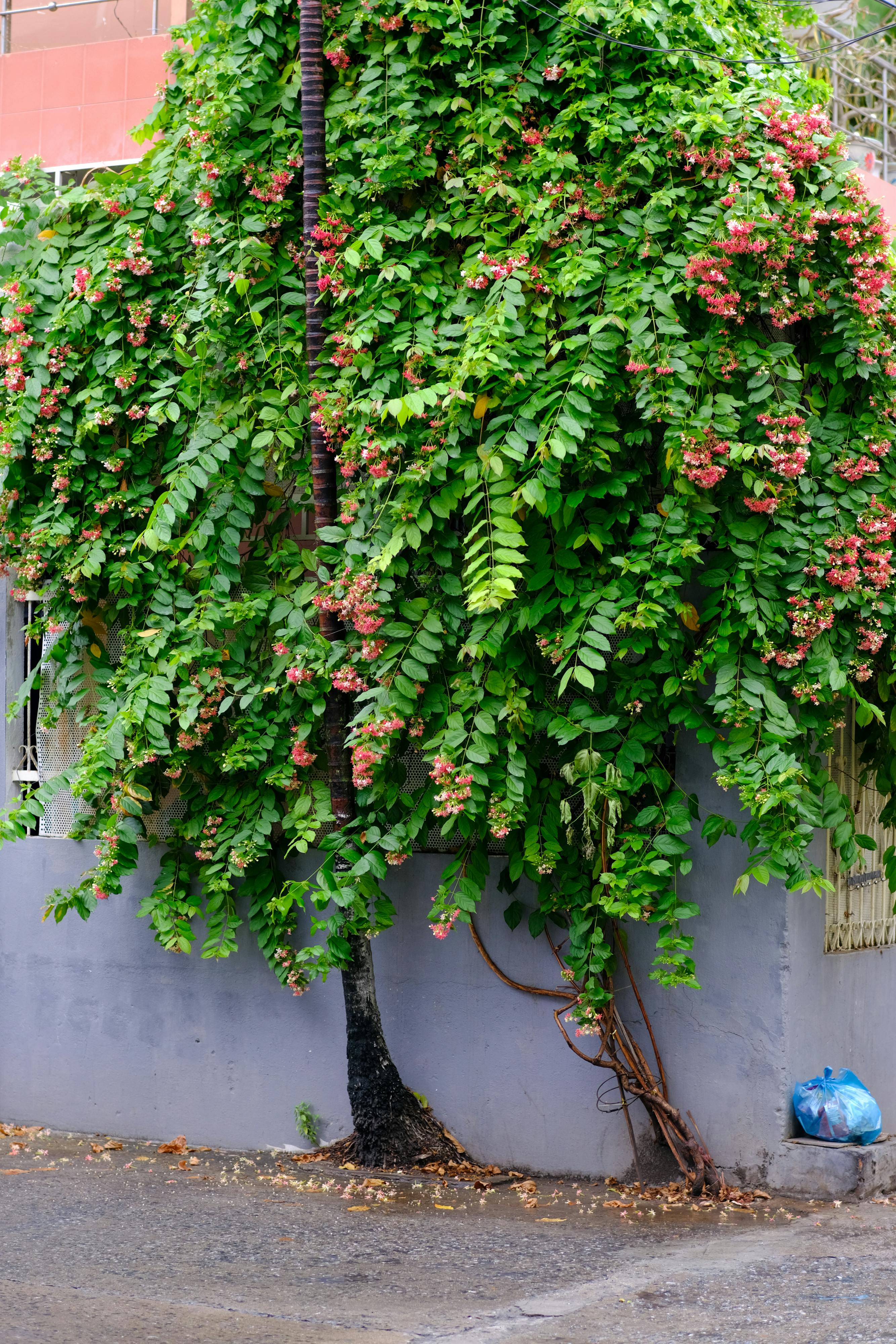 Trung tâm nghiên cứu văn học, phát triển nhà văn Việt Nam