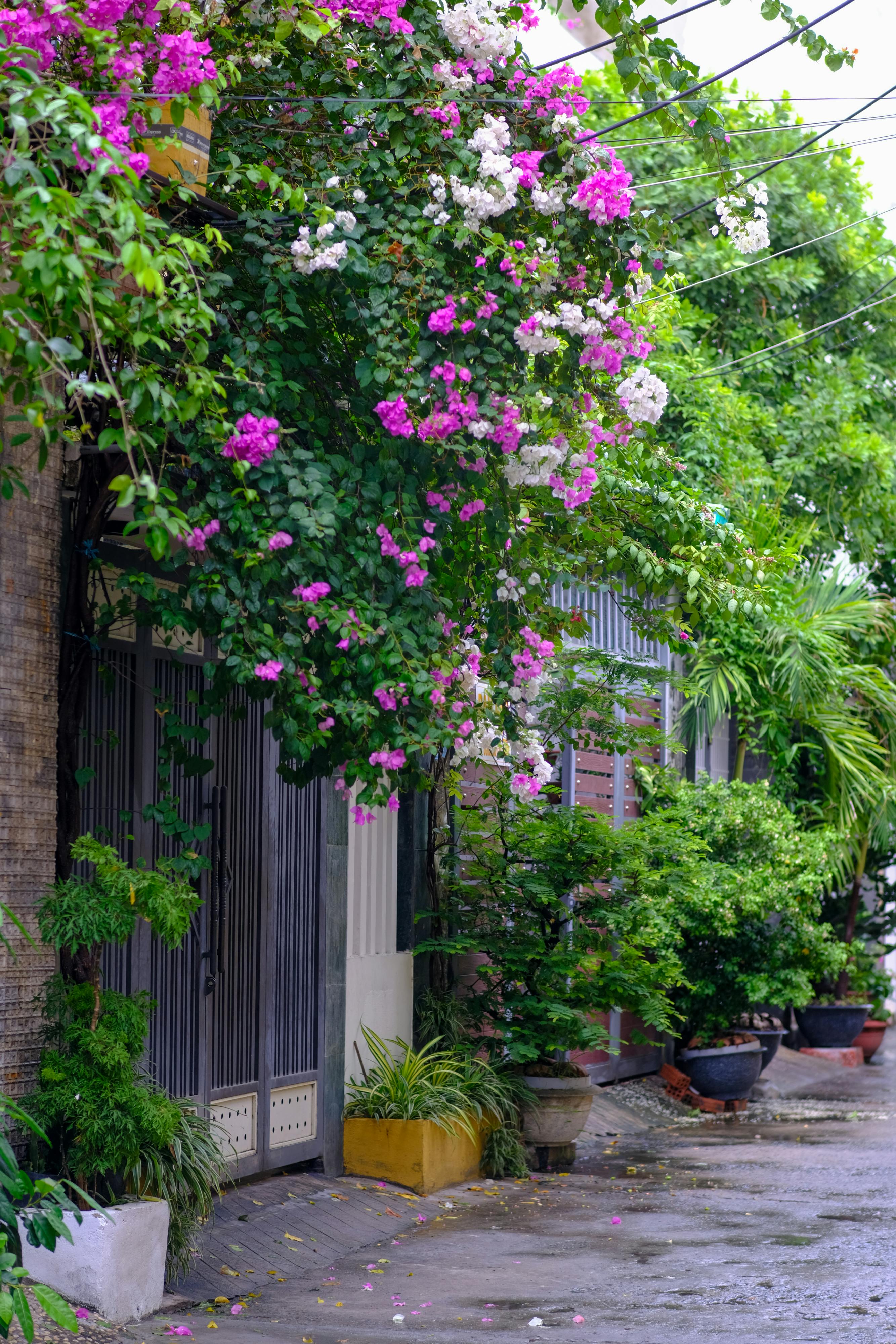 Thám tử lừng danh Conan | Chương 0962 040 – manga, gosho aoyama, case closed, tham tu lung danh conan, conan, detective conan, truyen tranh, trinh tham, pha an, trinh tham, kinh di, truyen conan, doc truyen conan, tham tu lung danh conan chuong 0962, tham tu lung danh conan 0962.