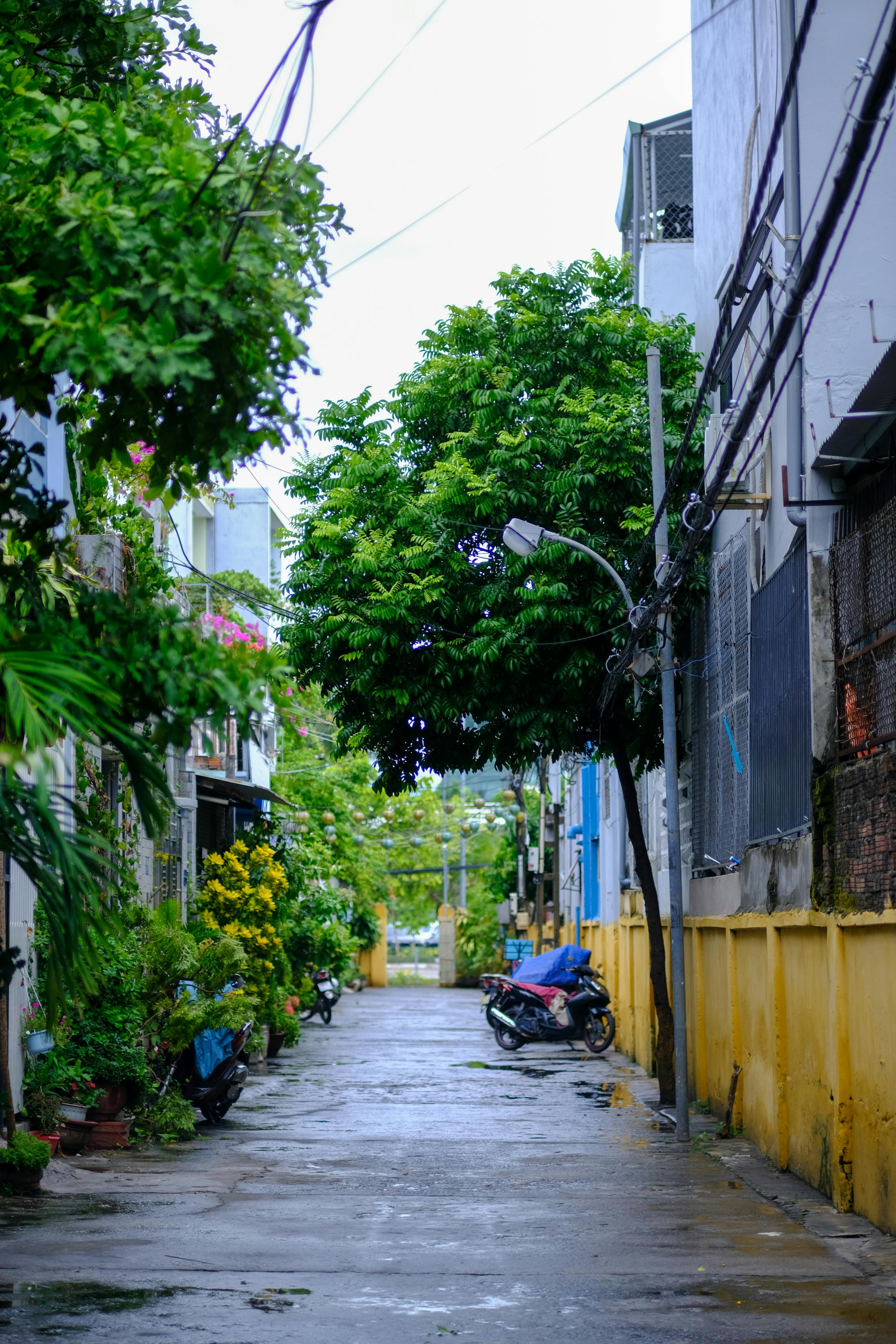 Lập luận nomological về sự tồn tại của Chúa 916 – tam ly hoc, ton giao, thien chua giao, chua troi, thuong de, nomological, chua troi ton tai.