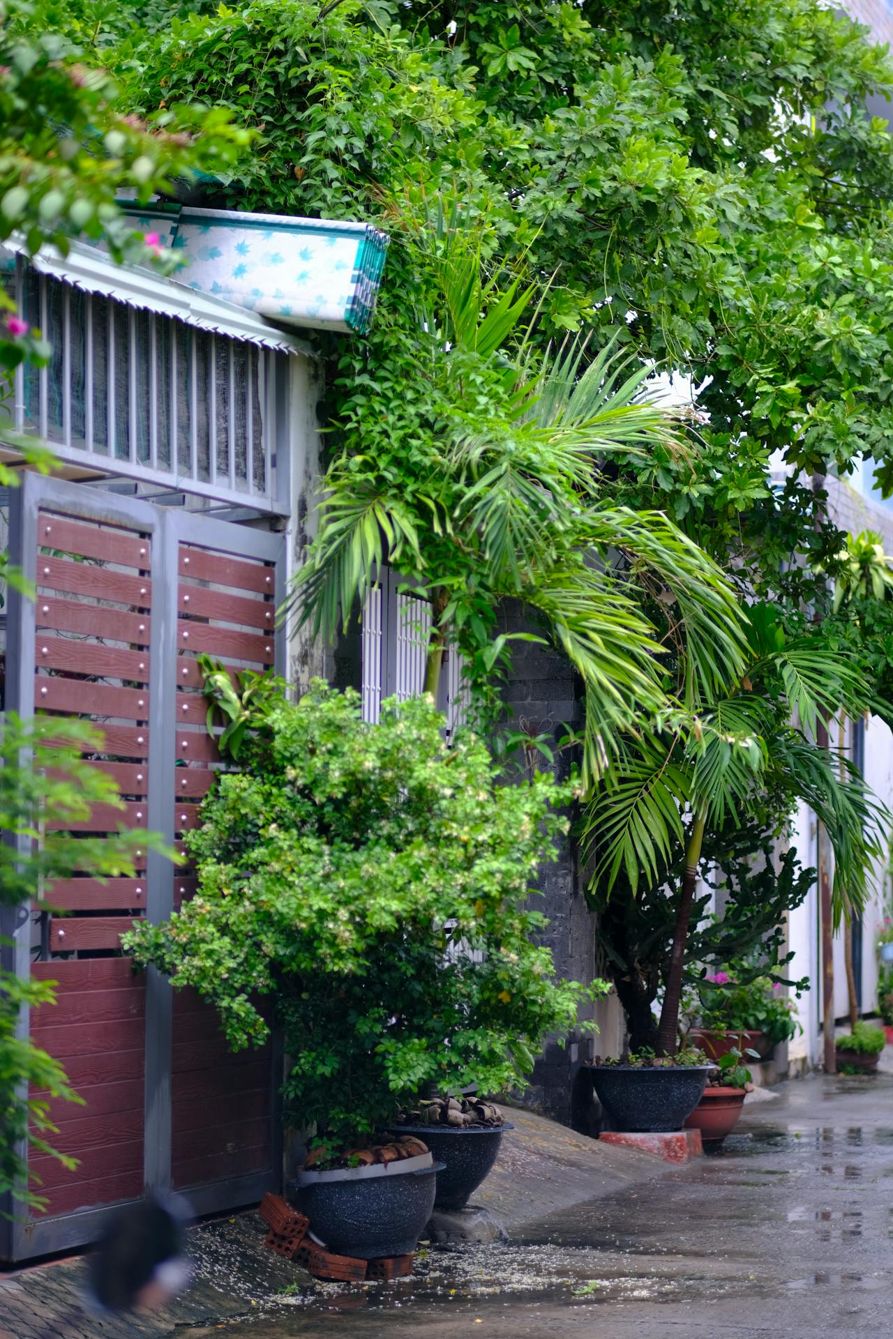 Trái tim mặt trời | Chương 01